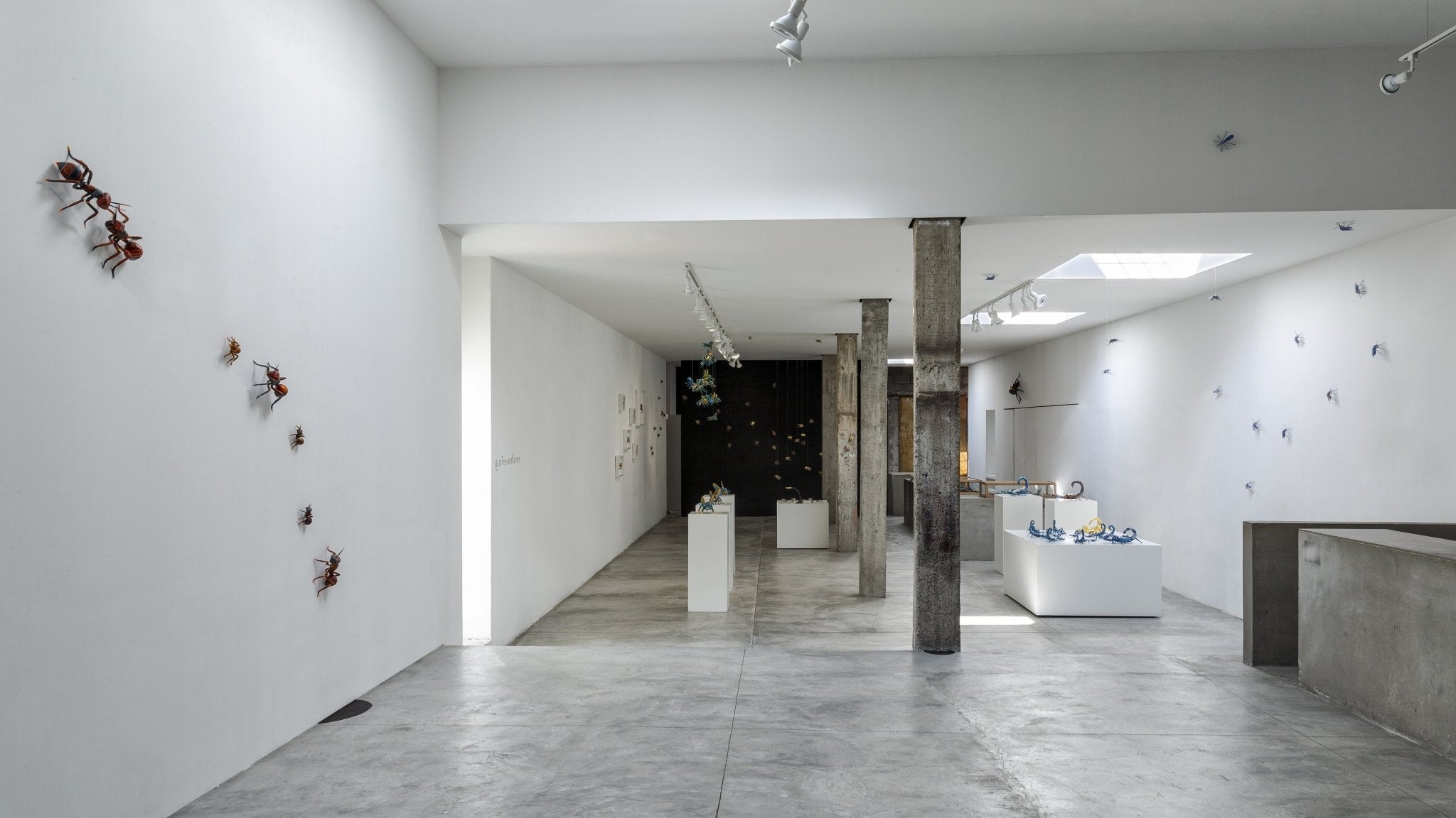 La Exhibición Plaga - Arte Marakame