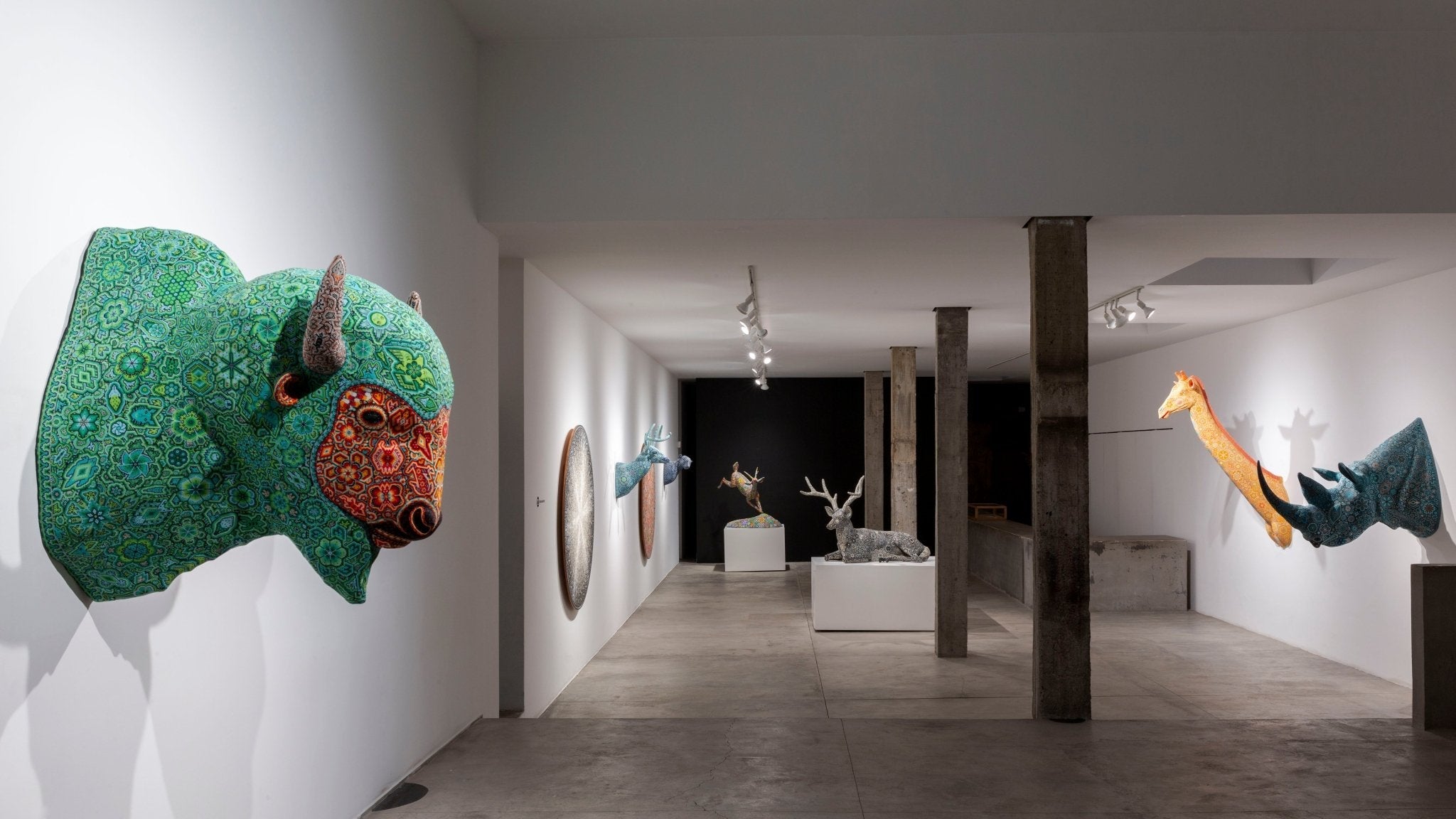 Modelos visionarios - Arte Marakame