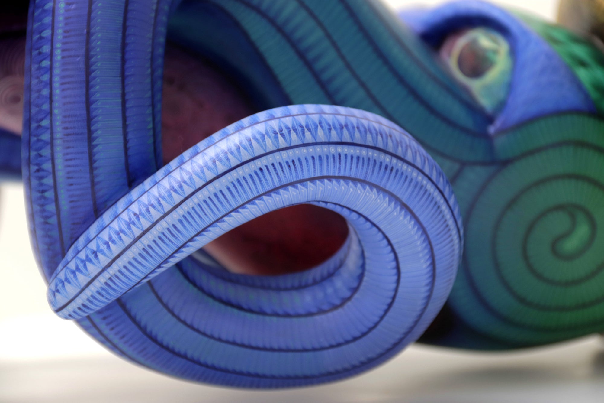 Alebrije - Calamar Nautilus