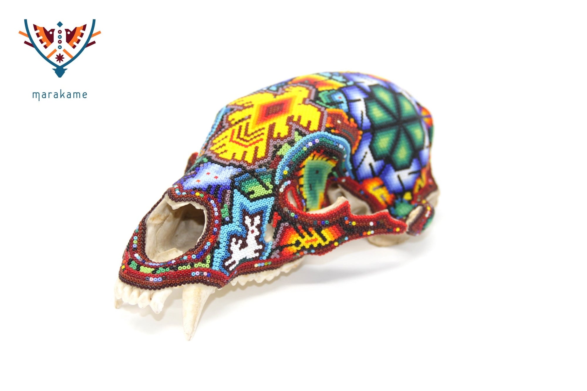 Cráneo de oso Huichol -"Werika Rhotze" - Arte Huichol - Marakame