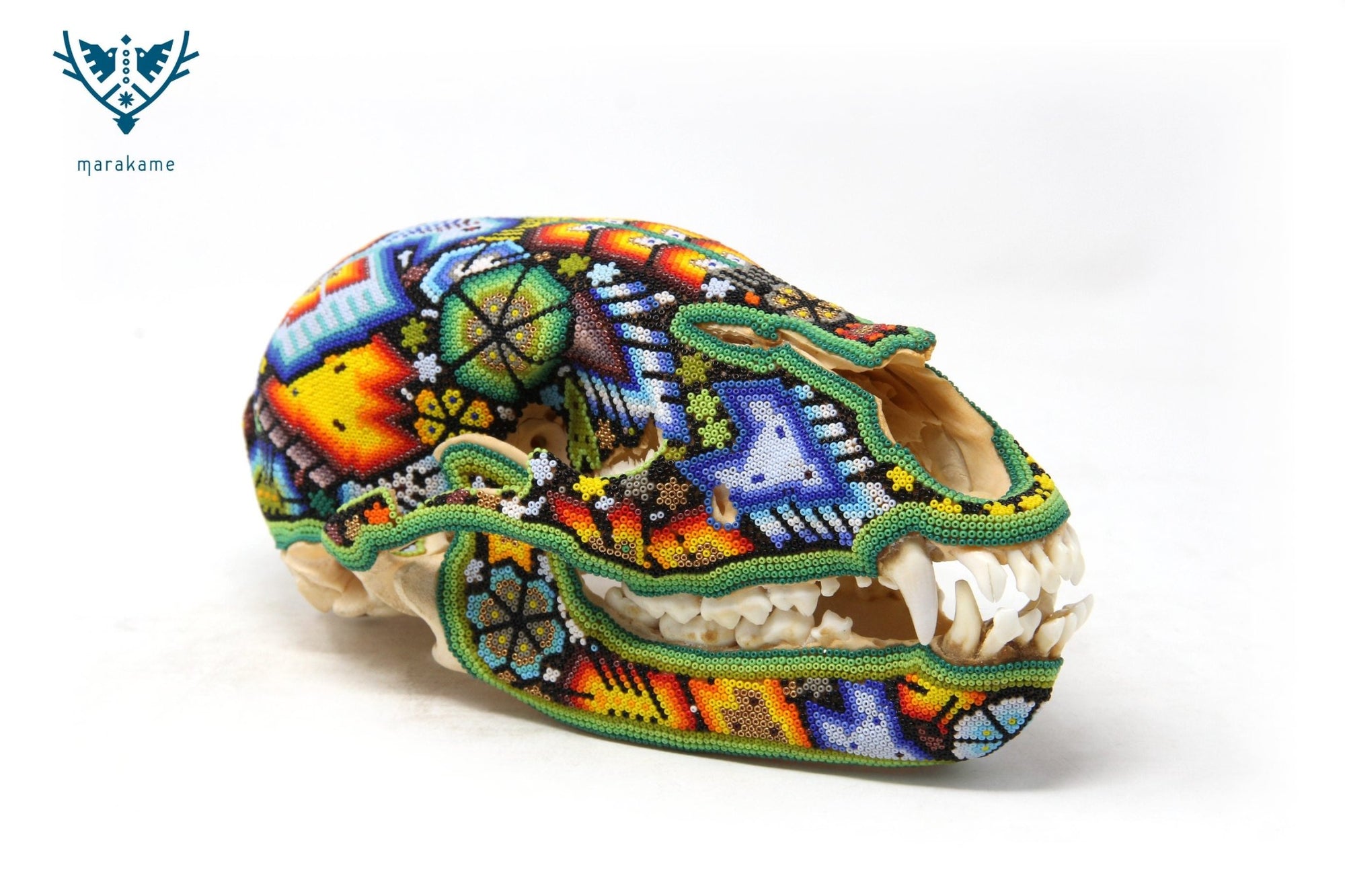Cráneo de Oso - Tuutú Rhotze - Arte Huichol - Marakame