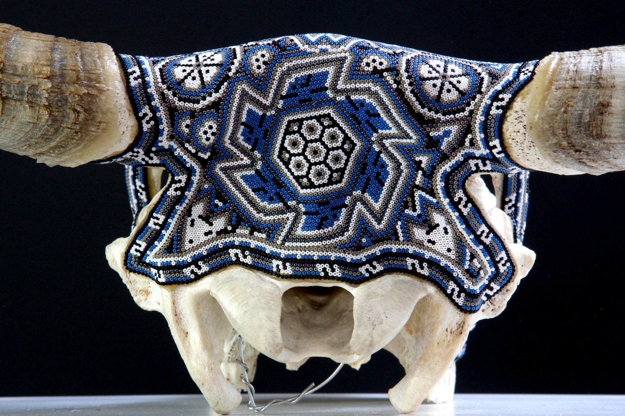 Cráneo de vaca Arte Huichol - maxa ewi I - Arte Huichol - Marakame