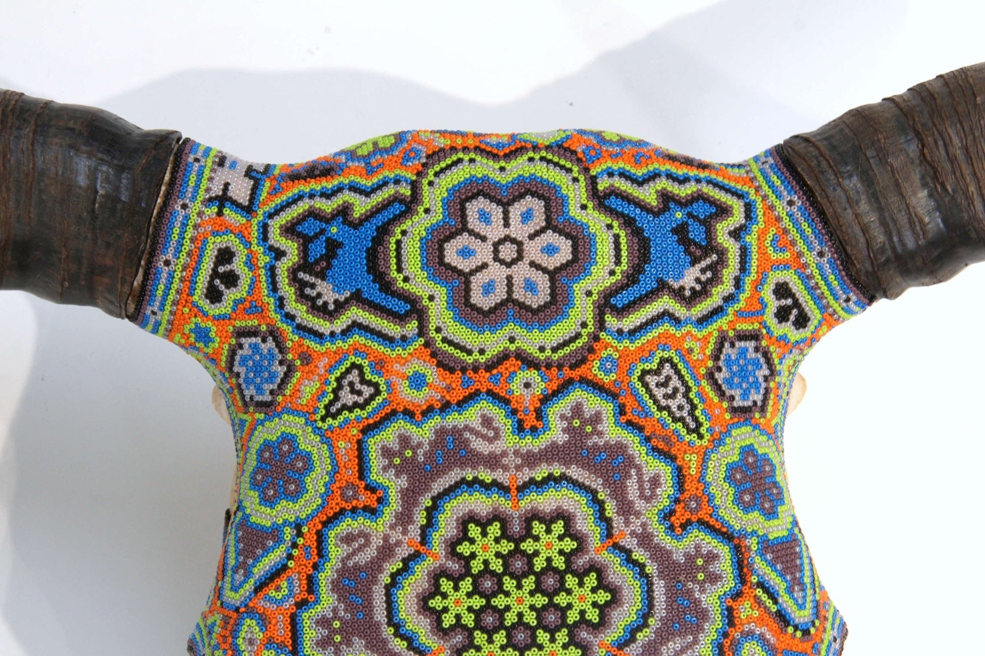 Cráneo de vaca Arte Huichol - Peyote - Arte Huichol - Marakame