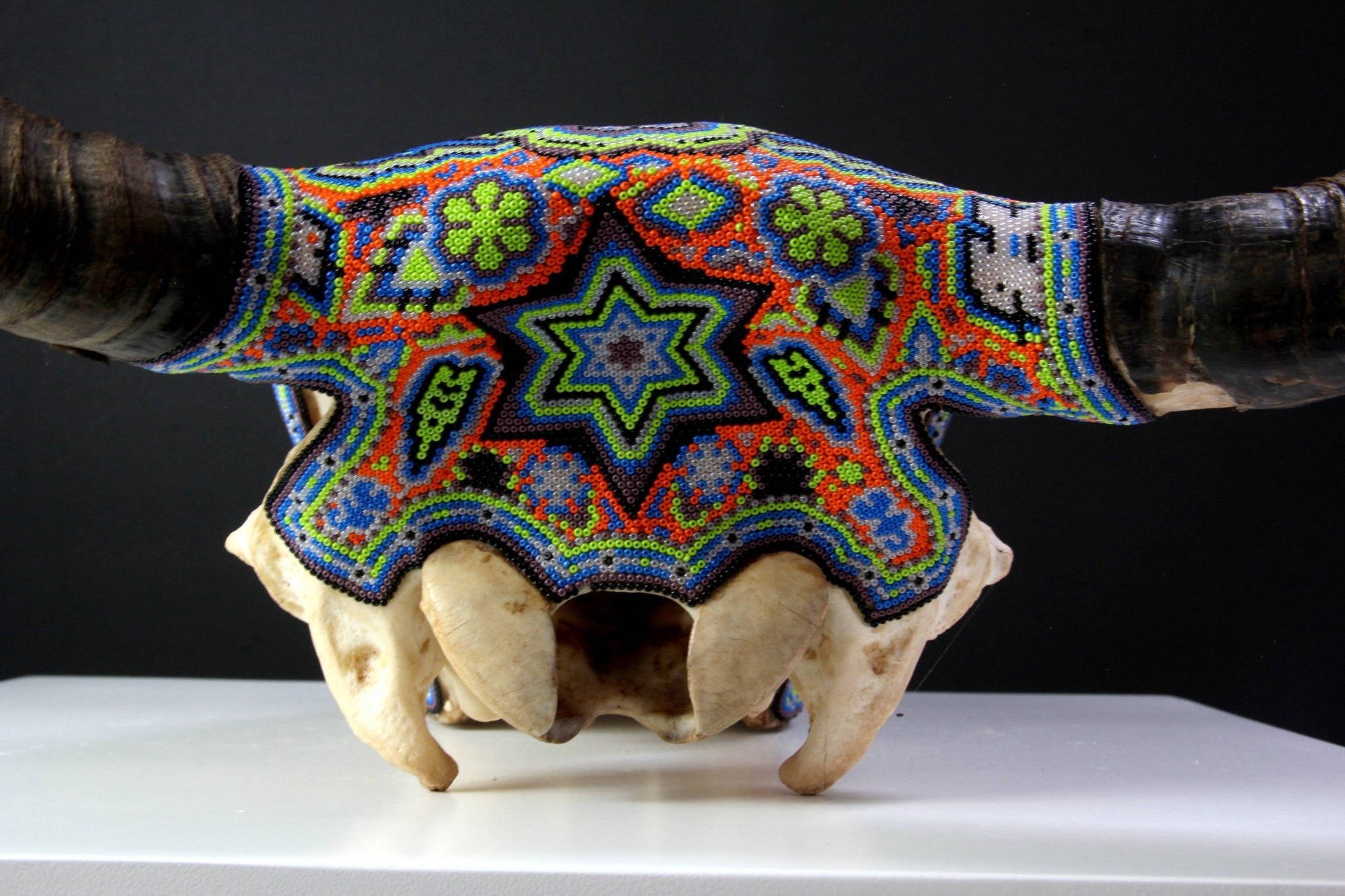 Cráneo de vaca Arte Huichol - Peyote - Arte Huichol - Marakame