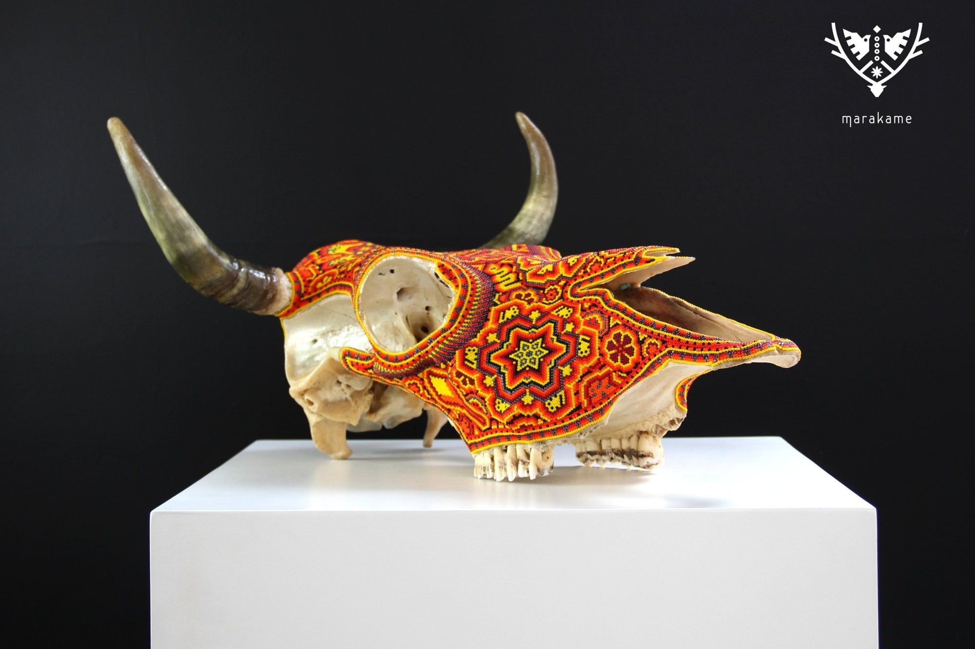 Cráneo de vaca Arte Huichol - Tatewari - Arte Huichol - Marakame