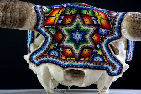 Cráneo de vaca Arte Huichol - xupurero grande - Arte Huichol - Marakame