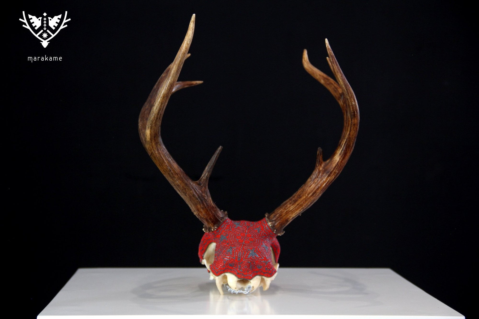 Cráneo de Venado Huichol - Xawe Tatewari - Arte Huichol - Marakame