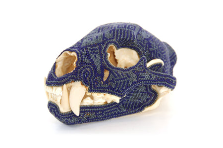 Cráneo Felino Huichol - Ewi Ikú - Arte Huichol - Marakame