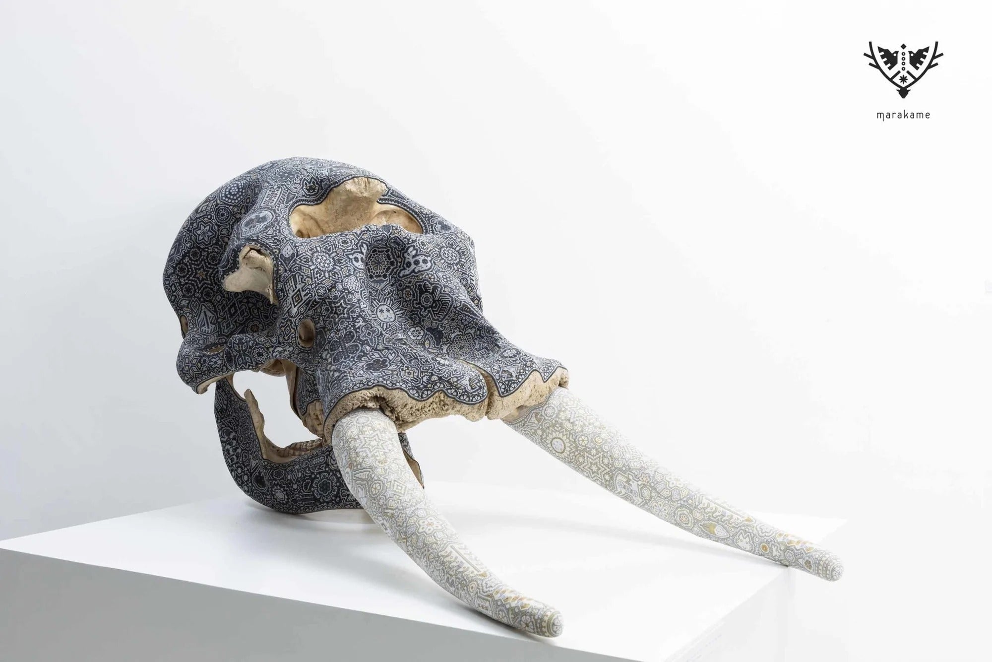 Cráneo de Elefante Wixárika - Arte Marakame