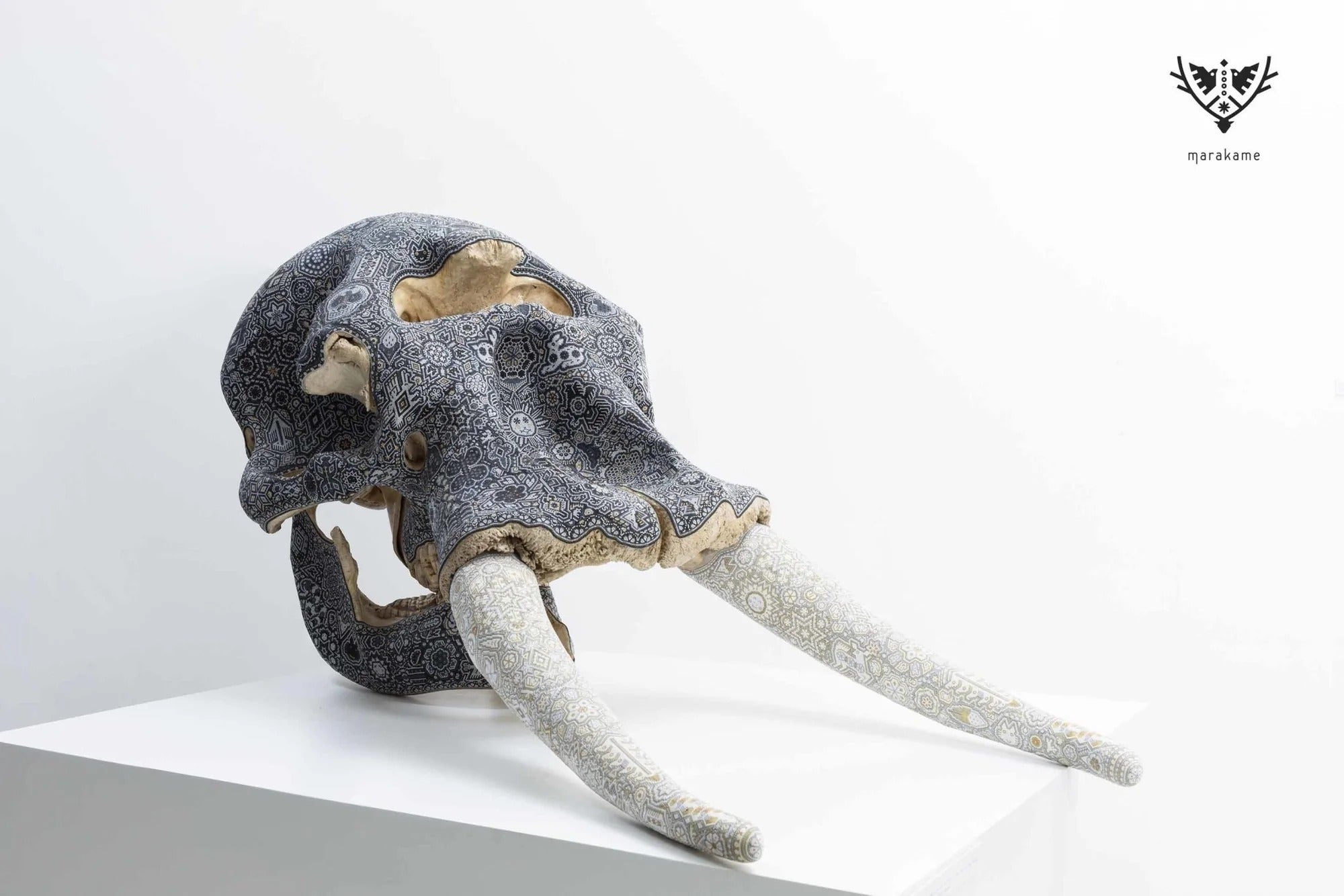 Cráneo de Elefante Wixárika - Arte Huichol - Marakame