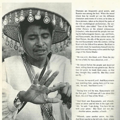 Leyenda wixárika: Kauyumarie vs Kieri - Arte Marakame