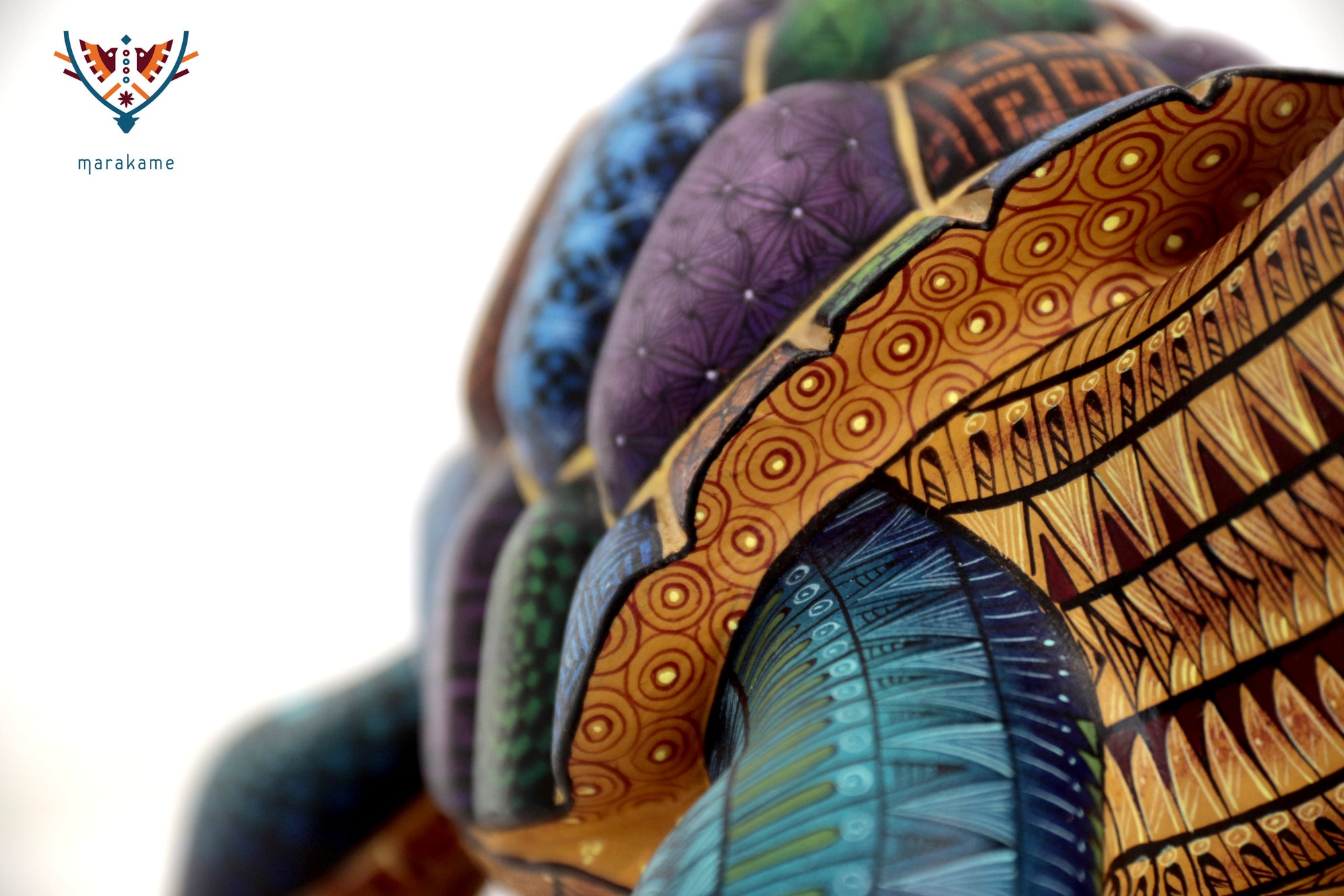 Alebrije Tortuga - Memoria que camina