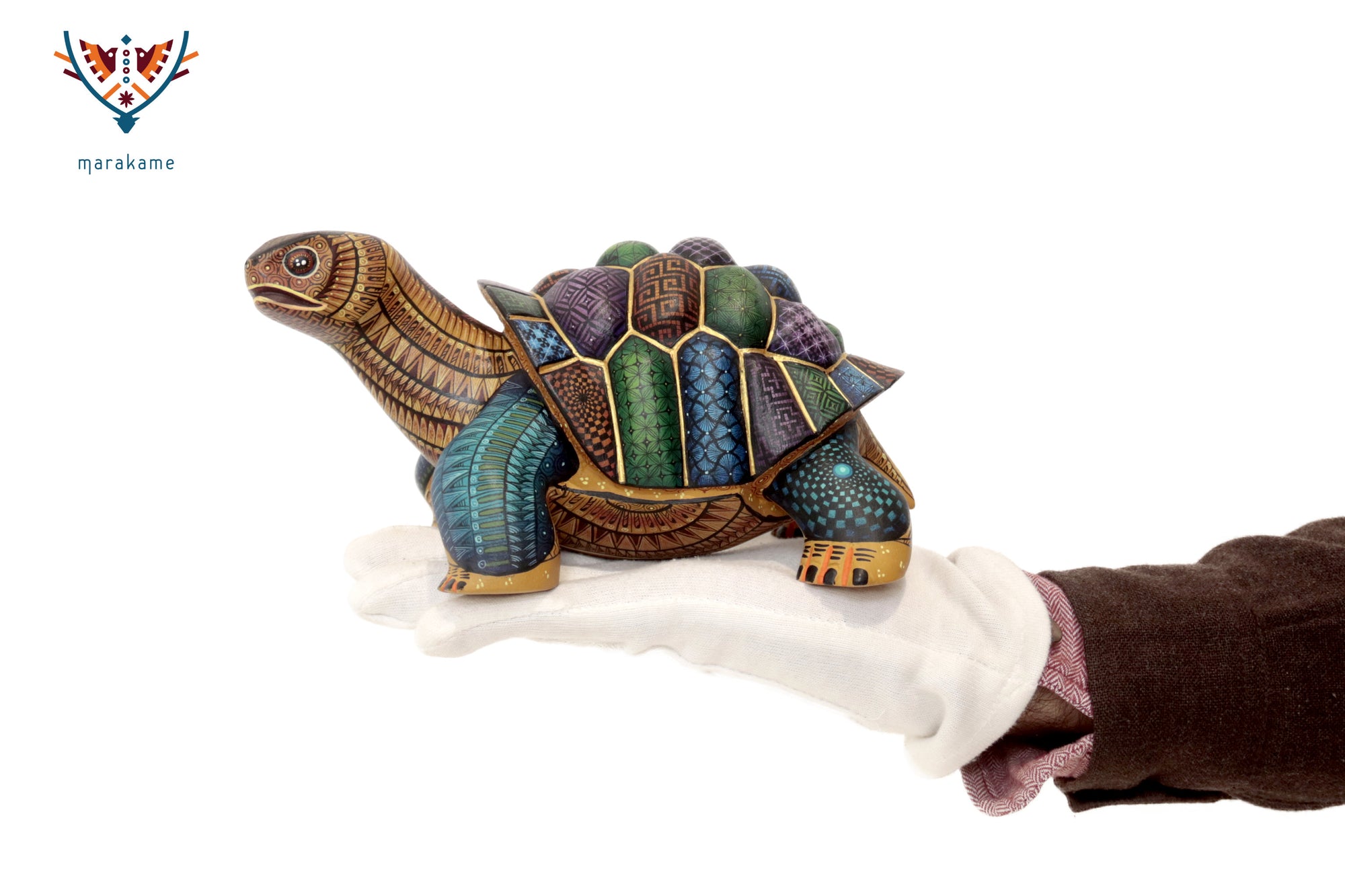 Alebrije Tortuga - Memoria que camina