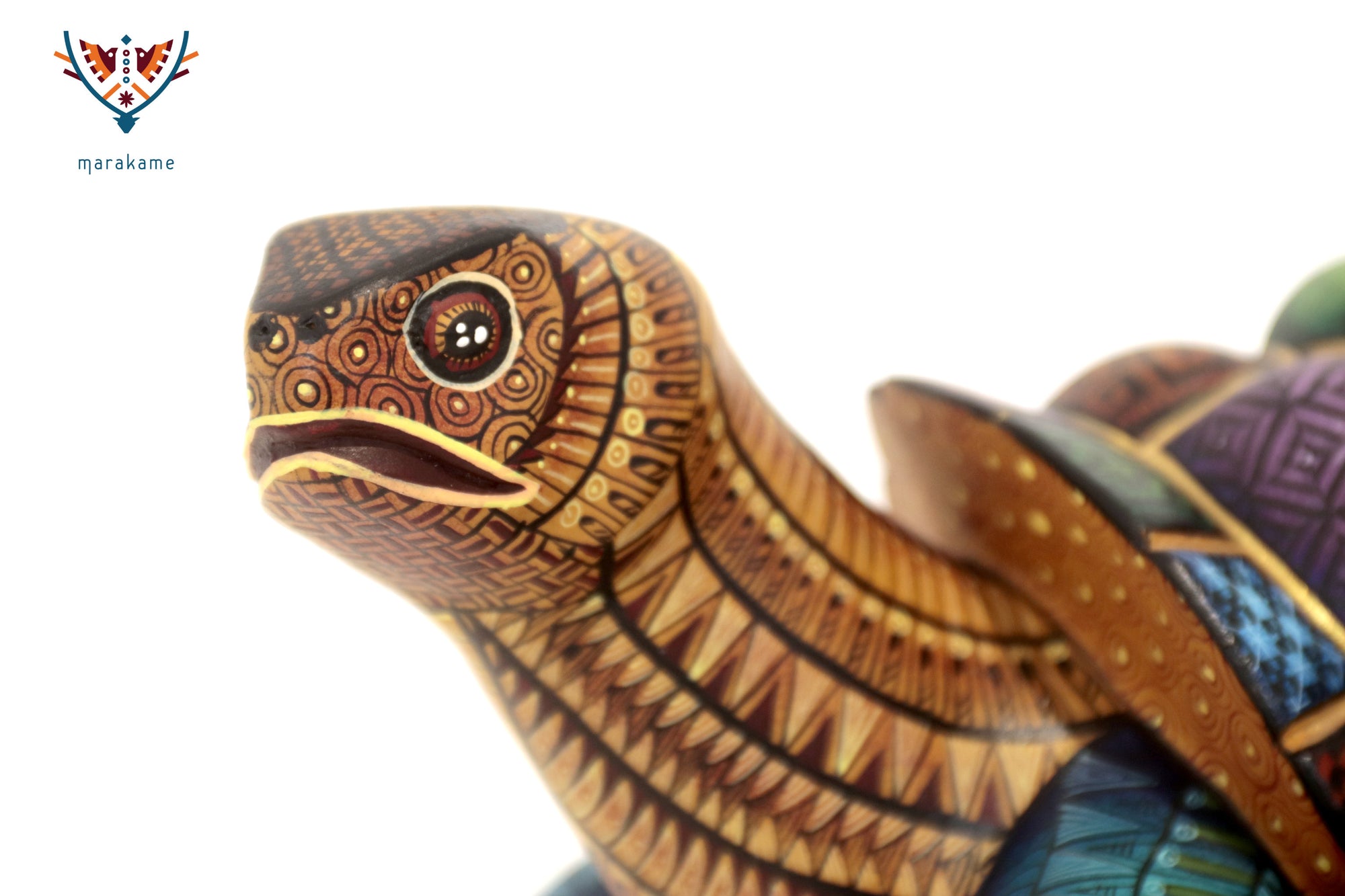 Alebrije Tortuga - Memoria que camina