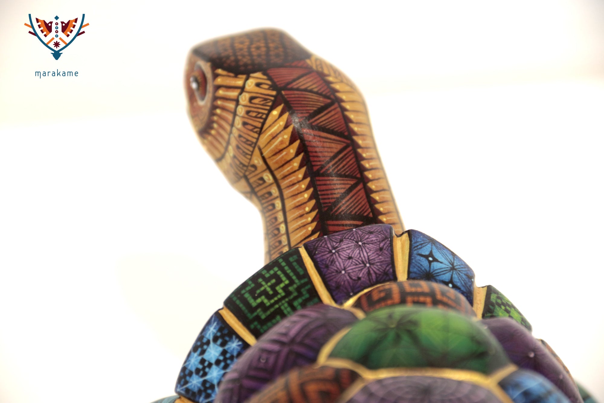 Alebrije Tortuga - Memoria que camina