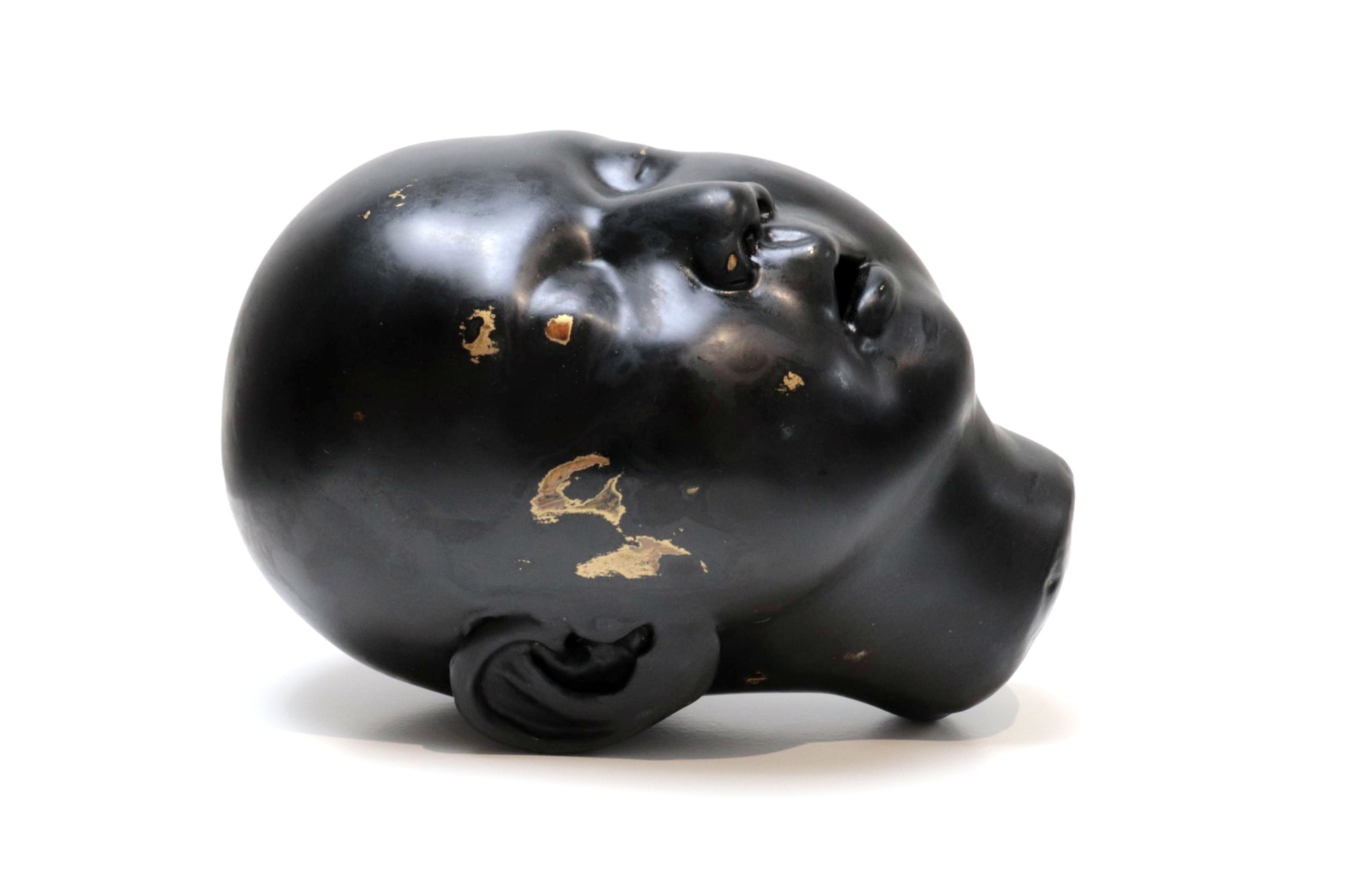 Cabeza negra "Risa"