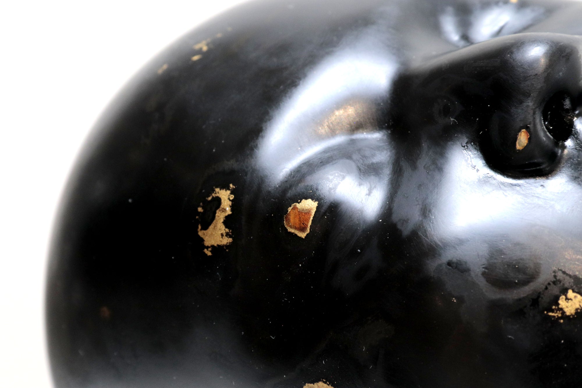 Cabeza negra "Risa"