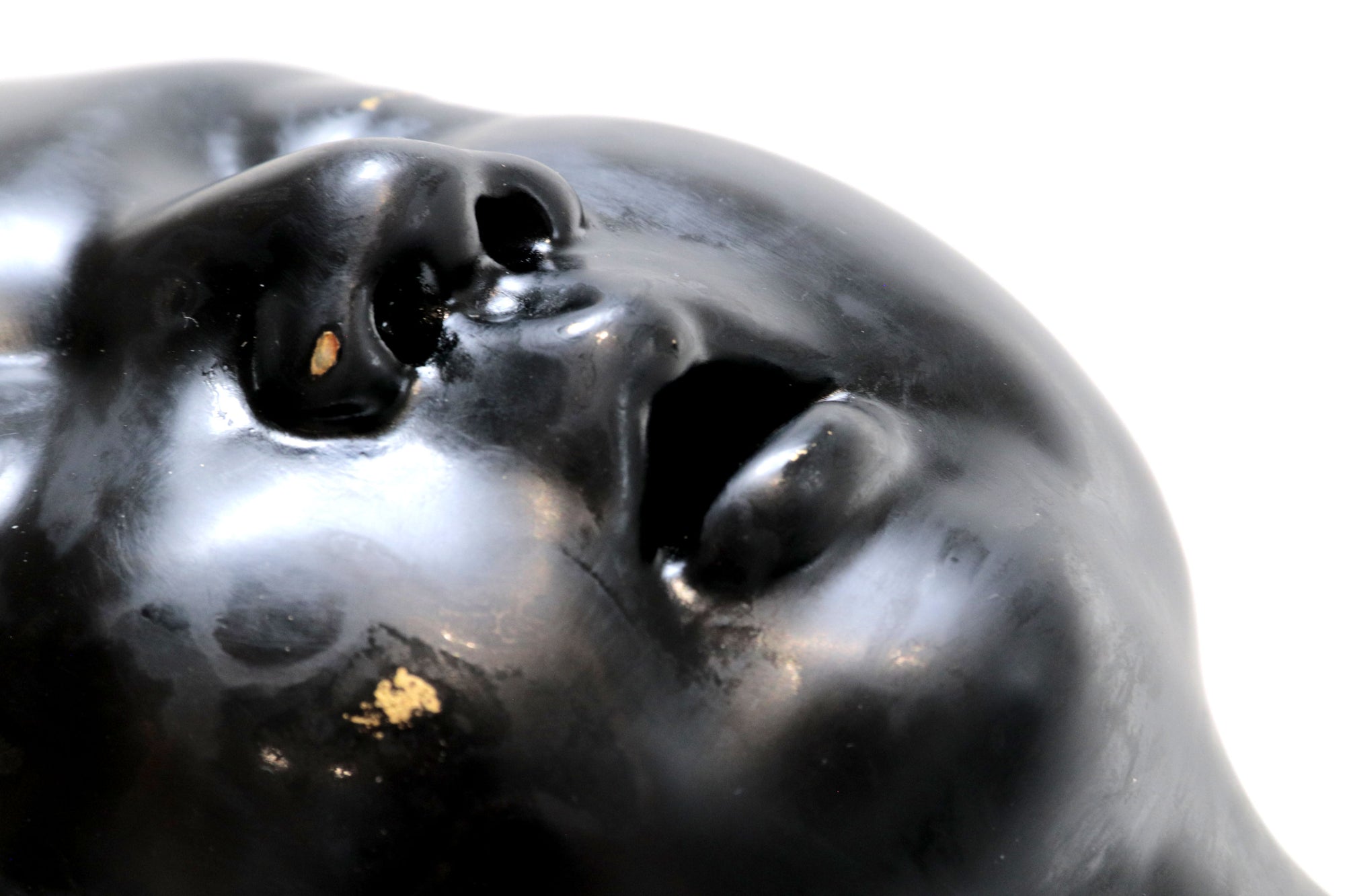 Cabeza negra "Risa"