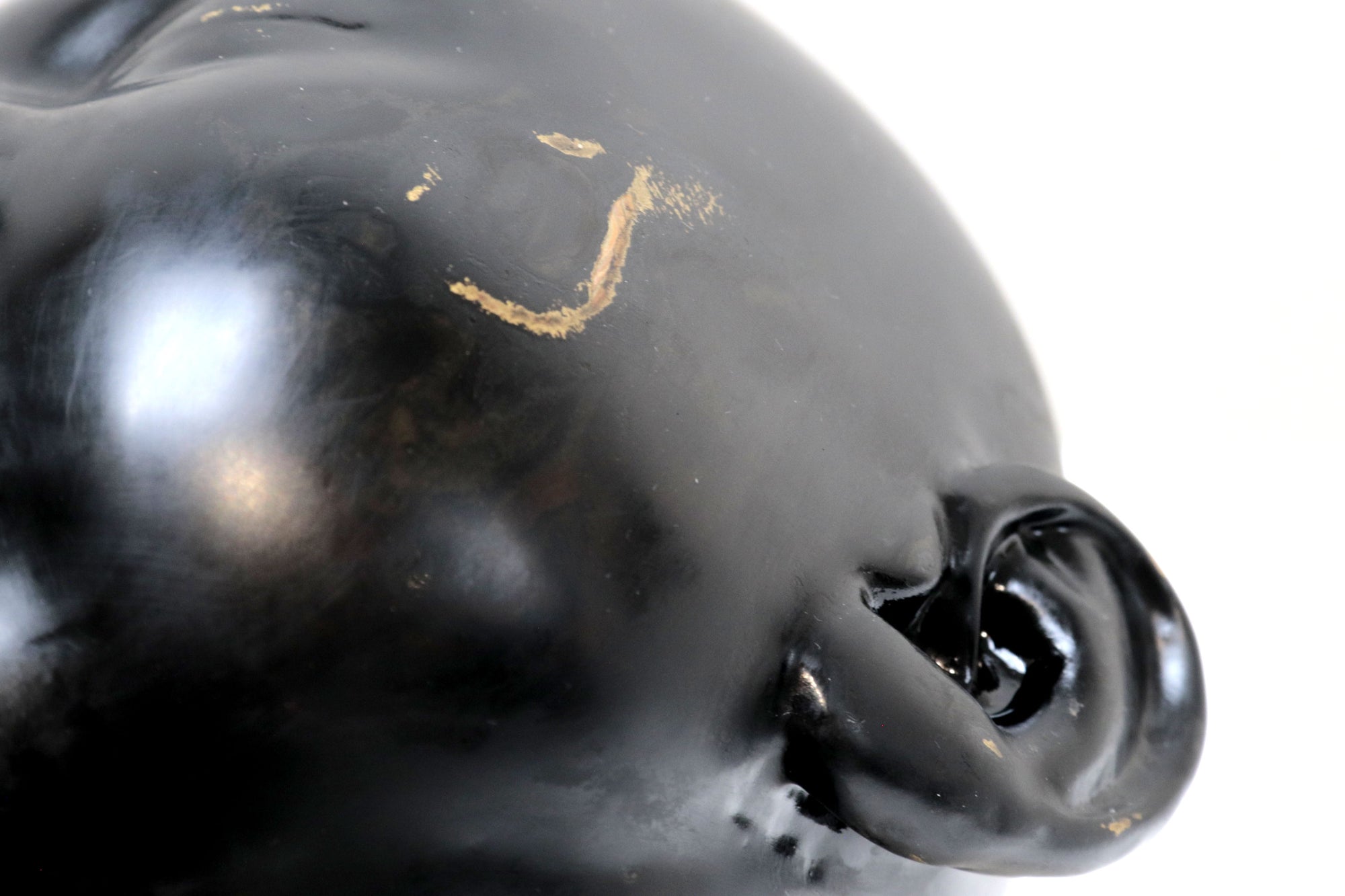 Cabeza negra "Risa"