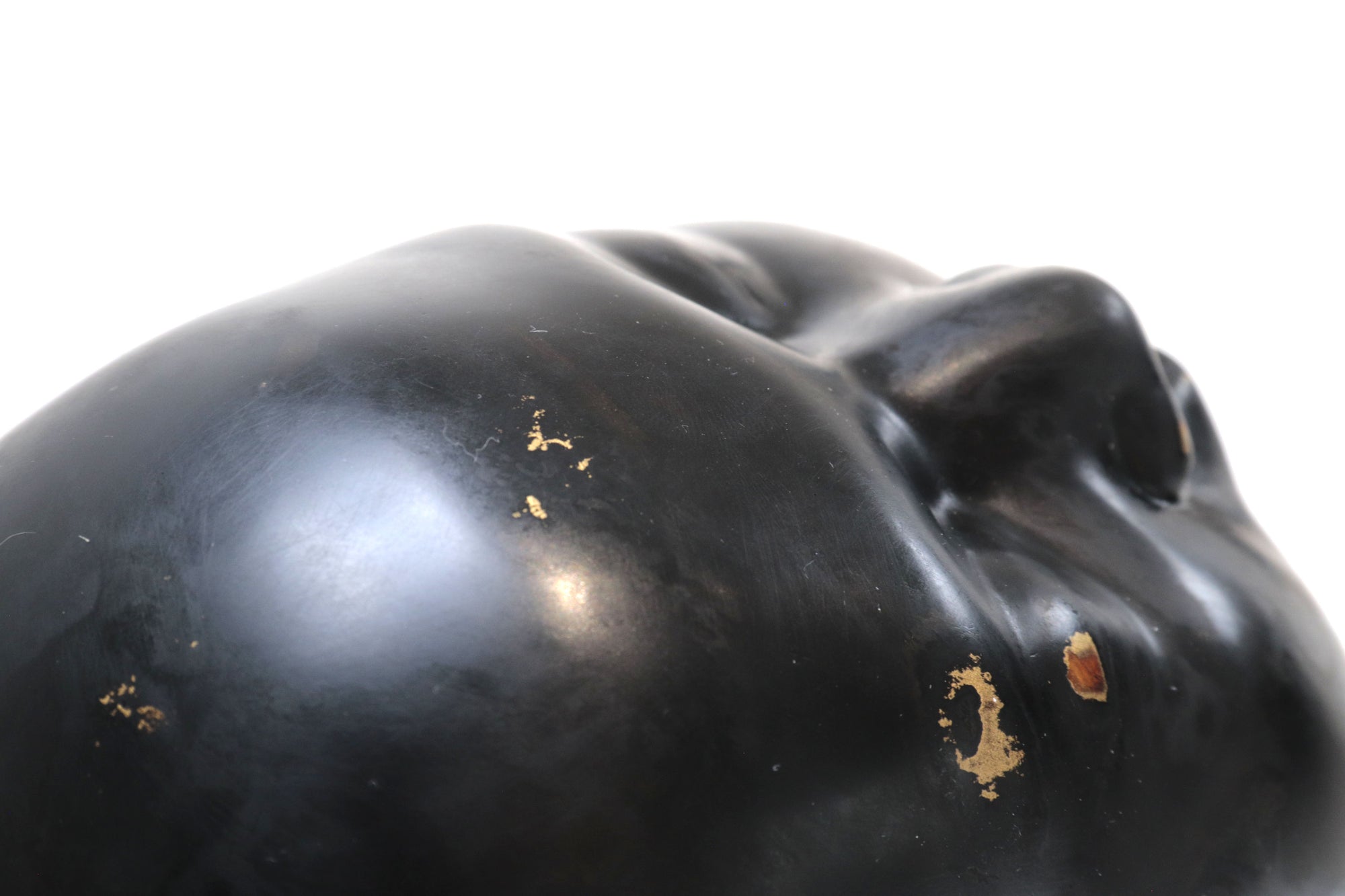 Cabeza negra "Risa"