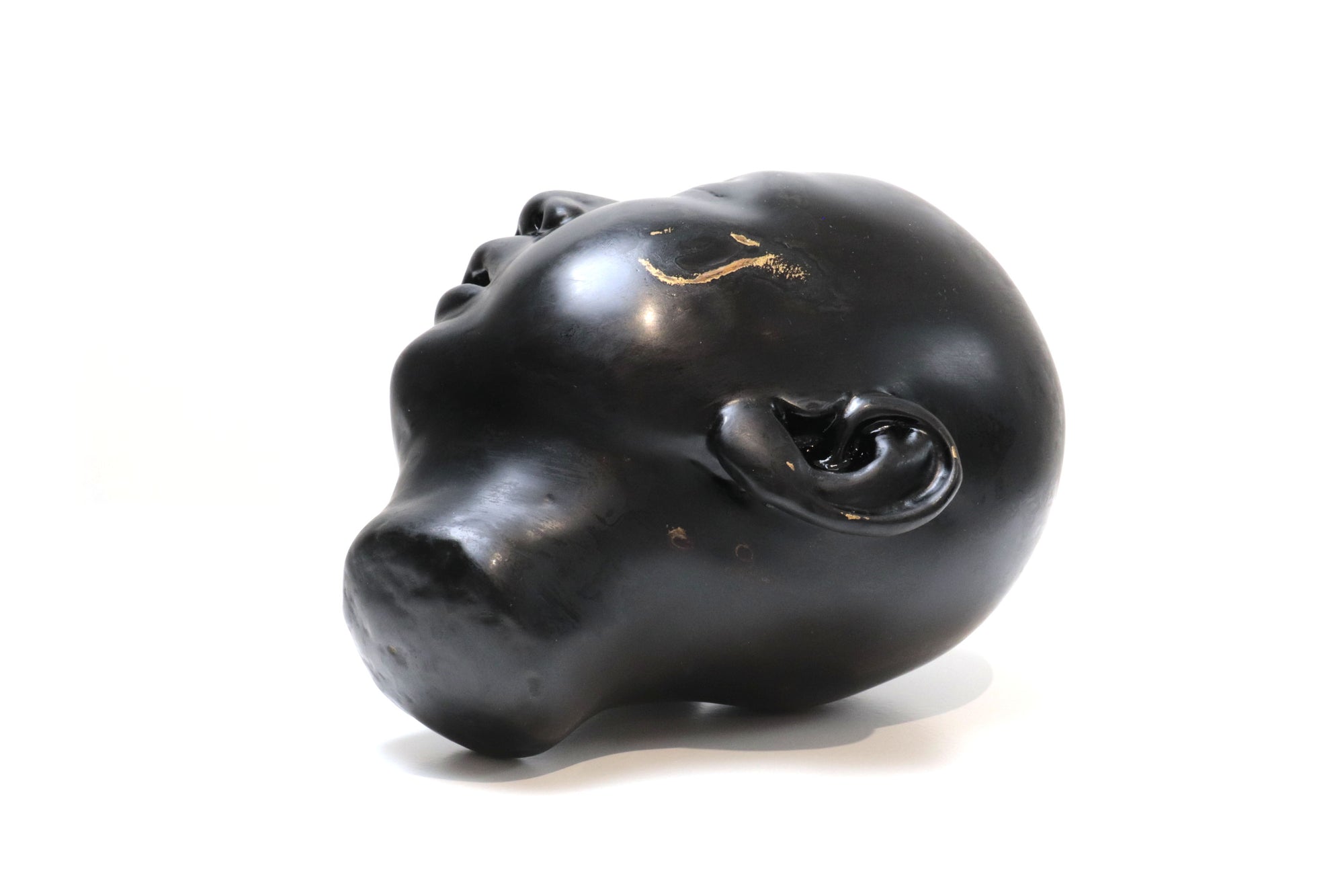 Cabeza negra "Risa"