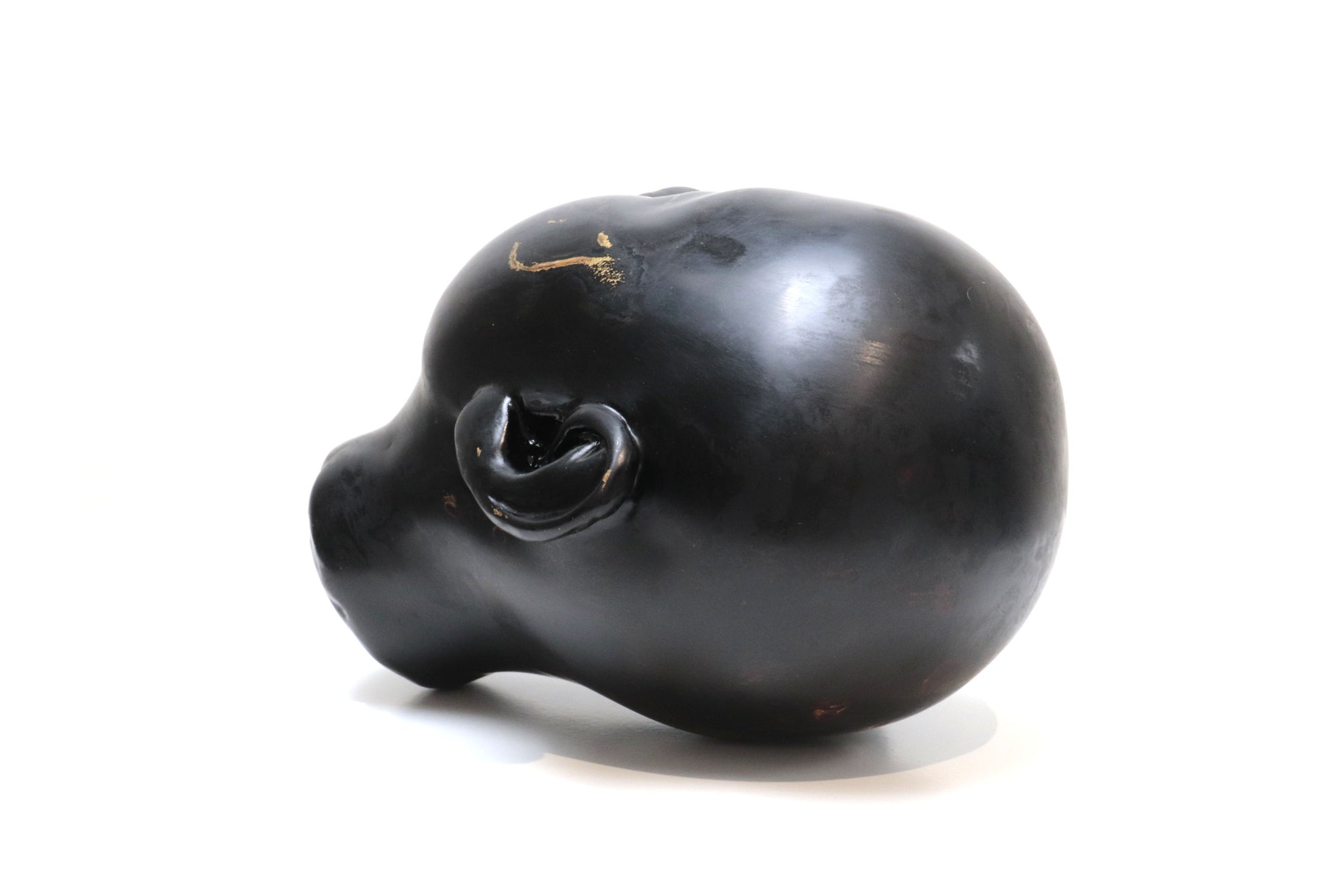 Cabeza negra "Risa"