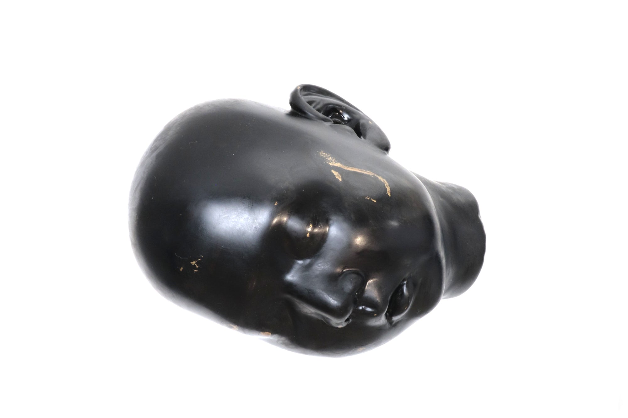 Cabeza negra "Risa"
