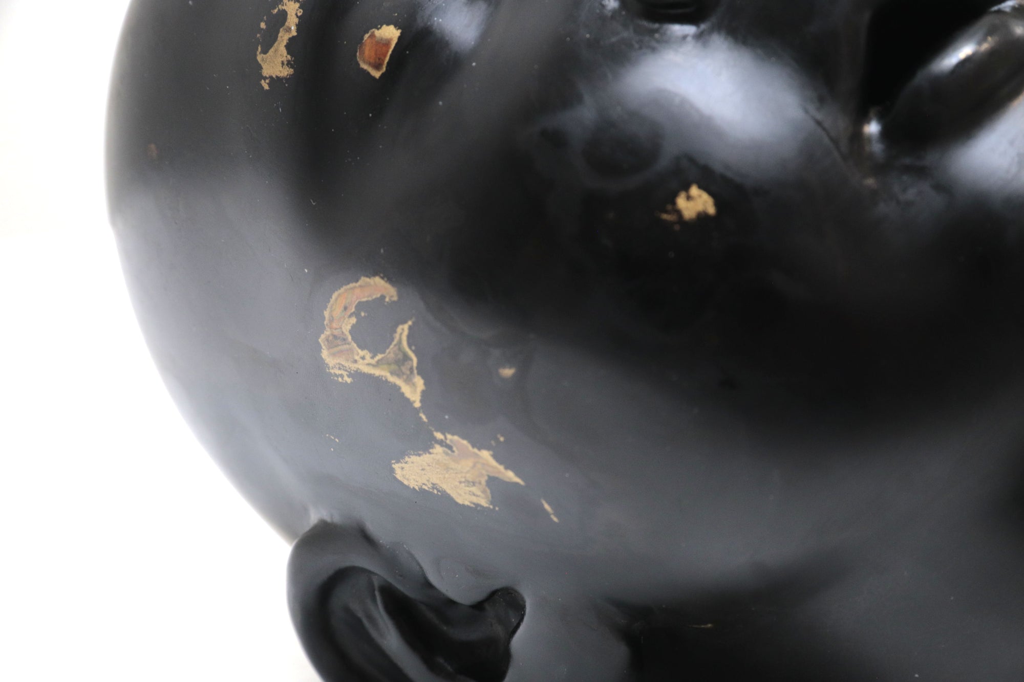 Cabeza negra "Risa"