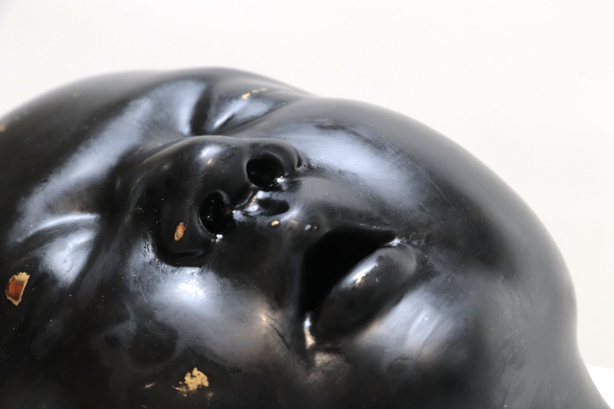 Cabeza negra "Risa"