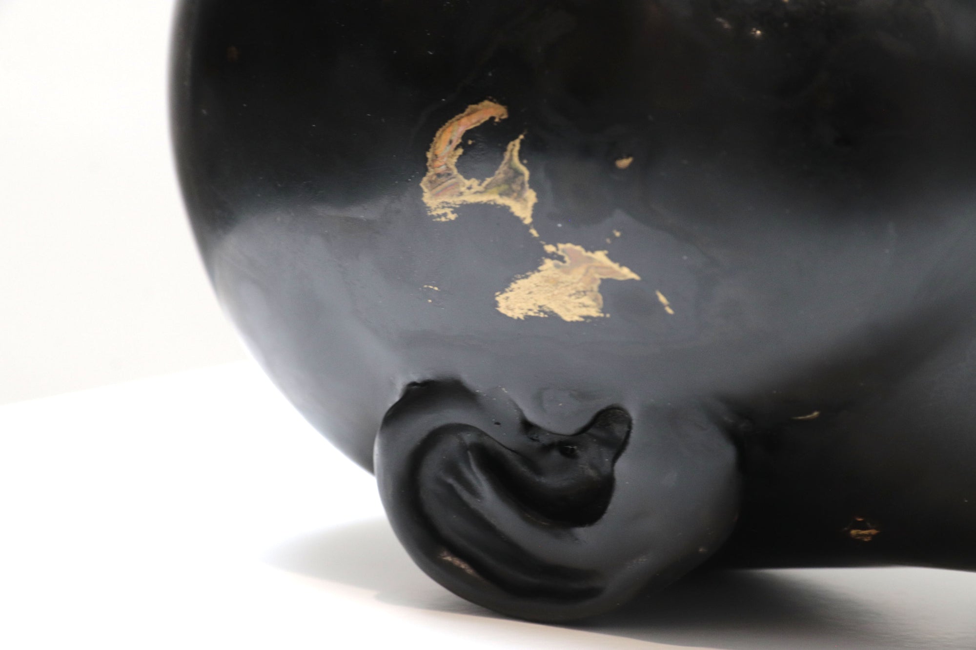 Cabeza negra "Risa"
