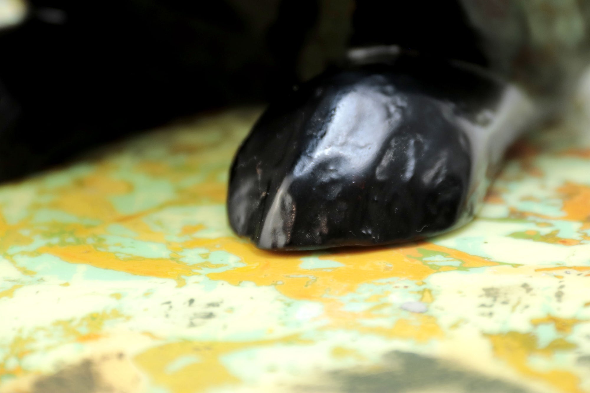 Conejo negro con colores interiores