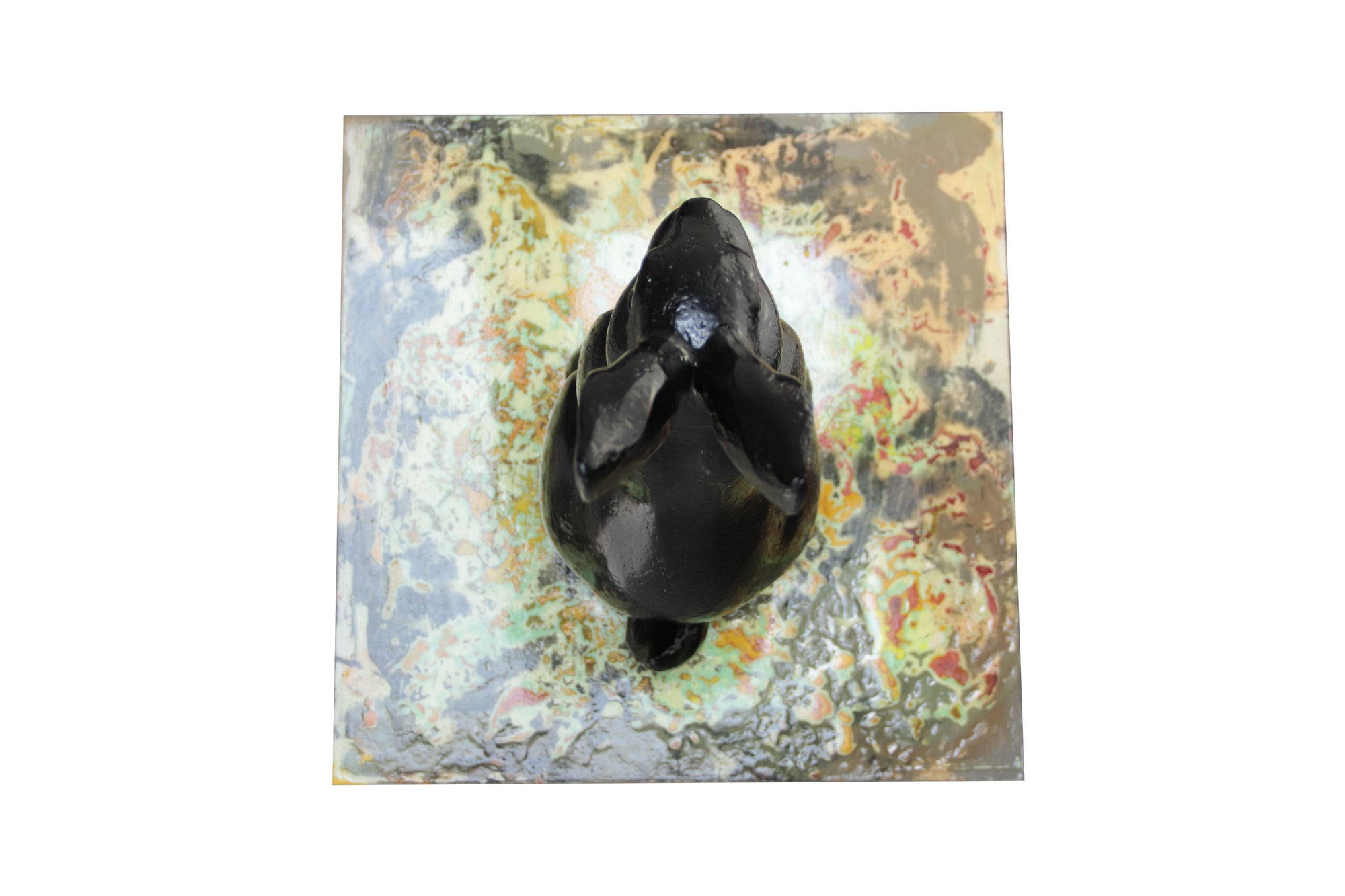 Conejo negro con colores interiores