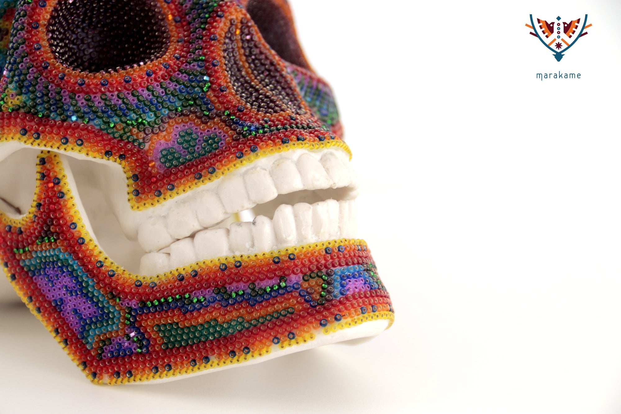 Cráneo huichol escala real - Tatei Haramara