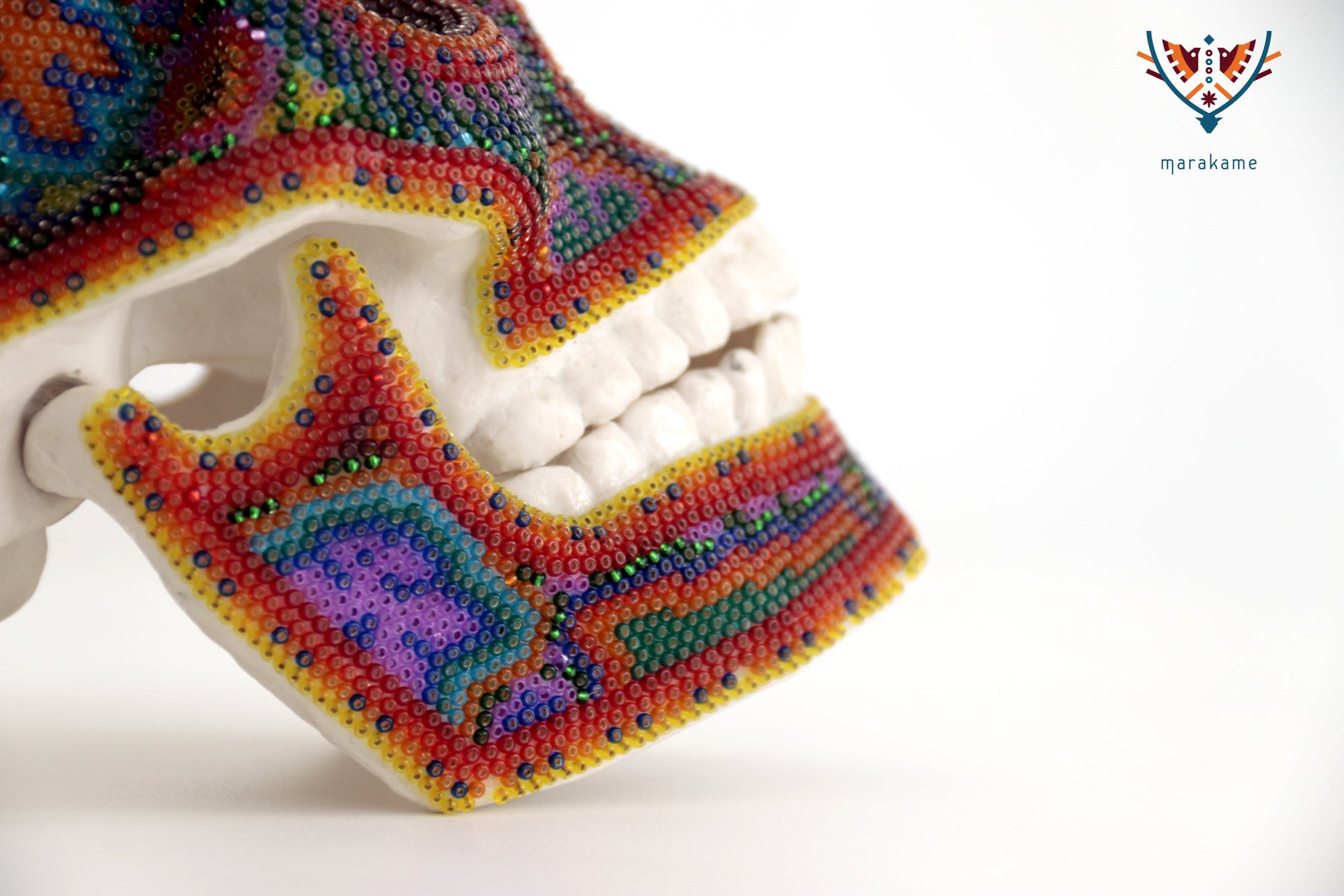 Cráneo huichol escala real - Tatei Haramara