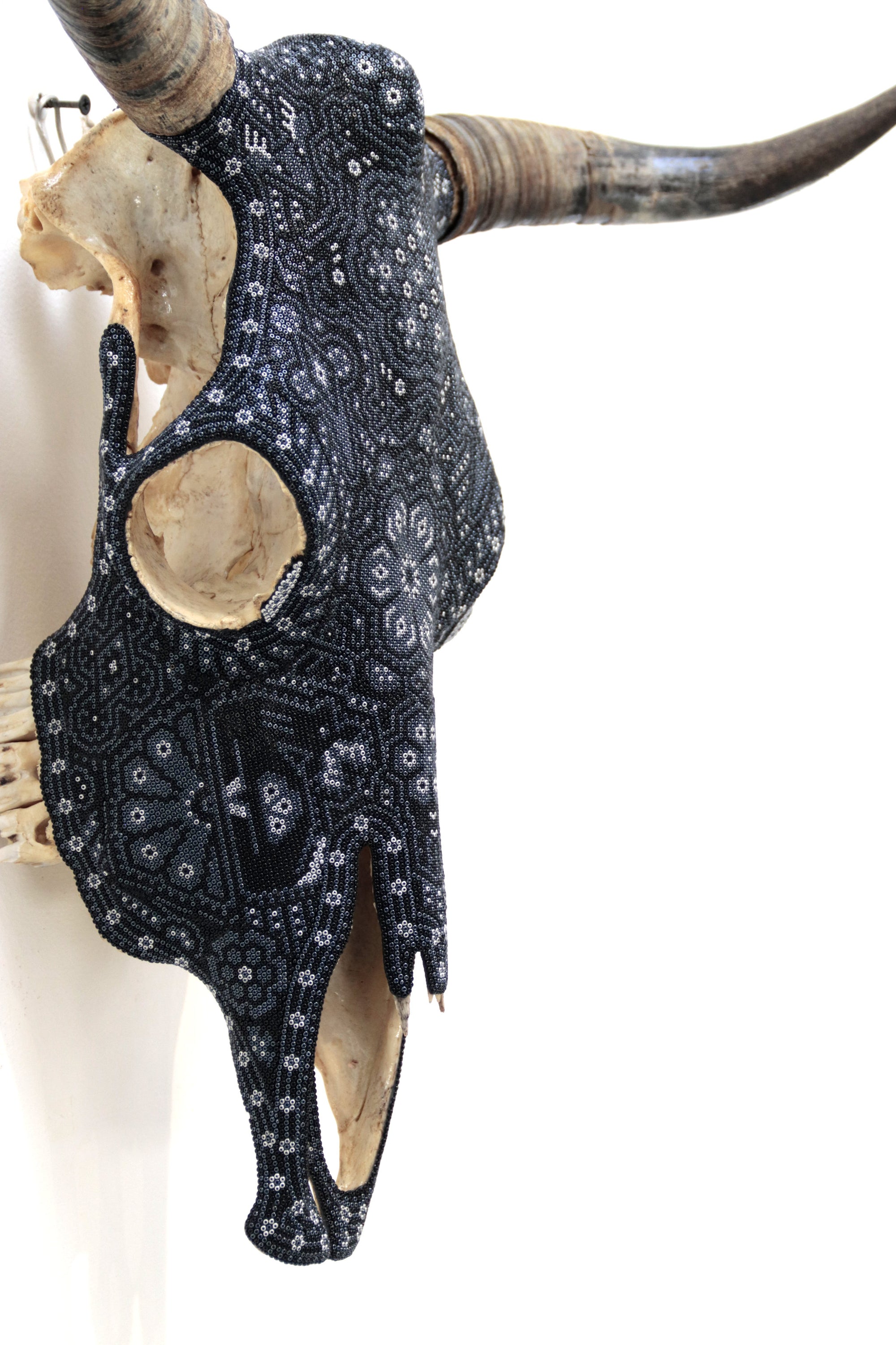 Kuhschädel Huichol Kunst - Hikuri