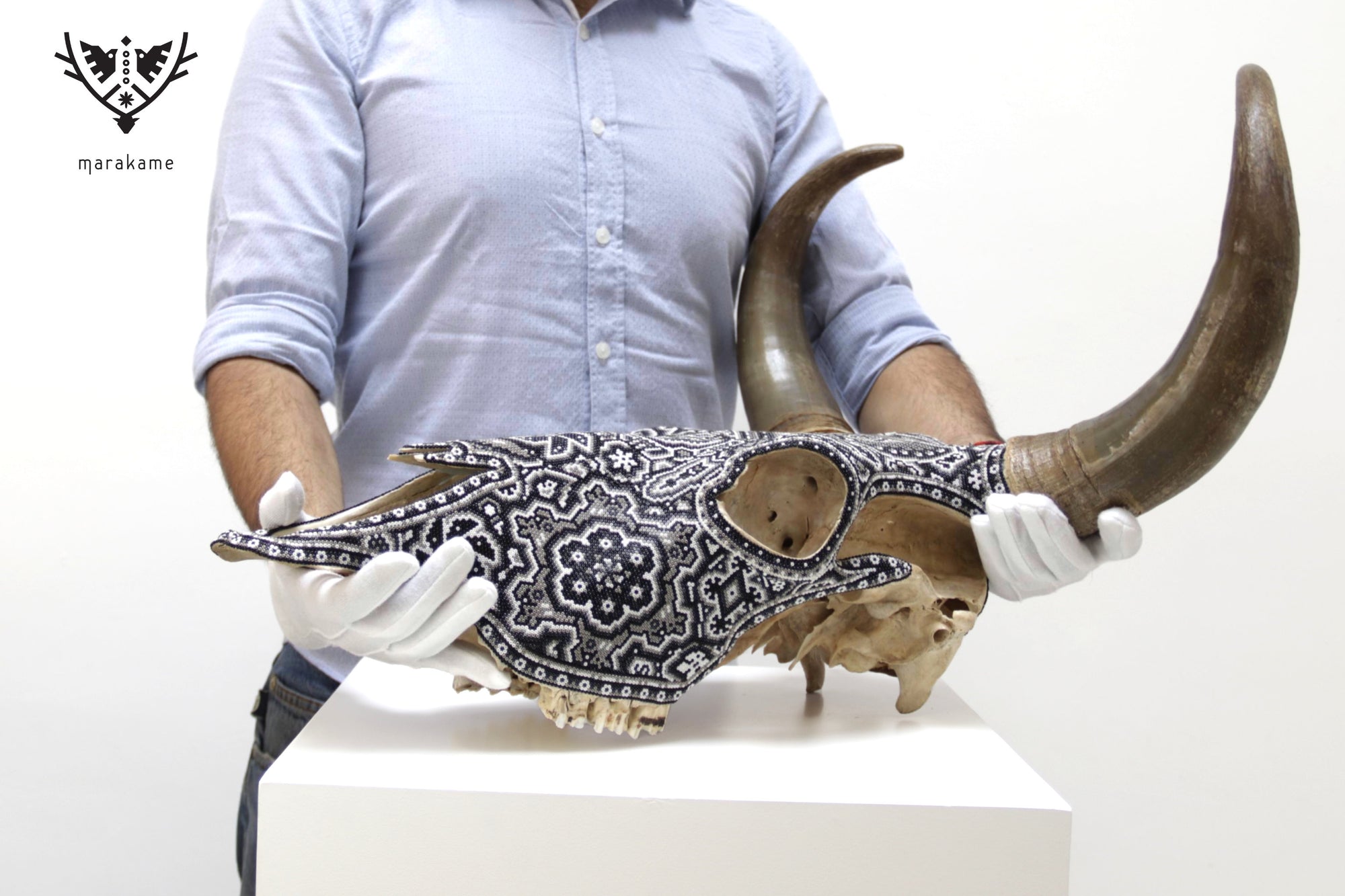Cráneo de vaca Arte Huichol - Águila bicéfala