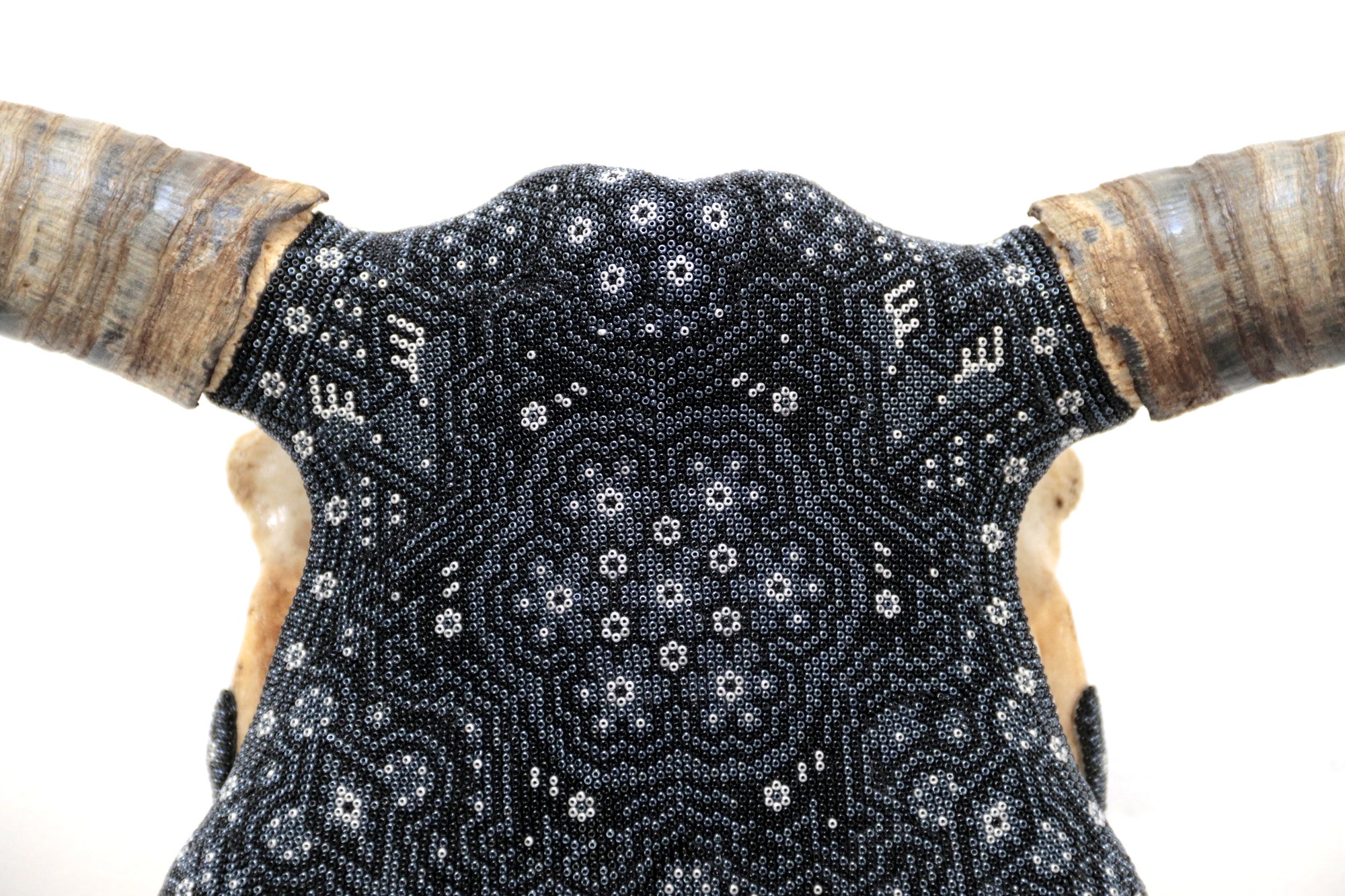 Kuhschädel Huichol Kunst - Hikuri