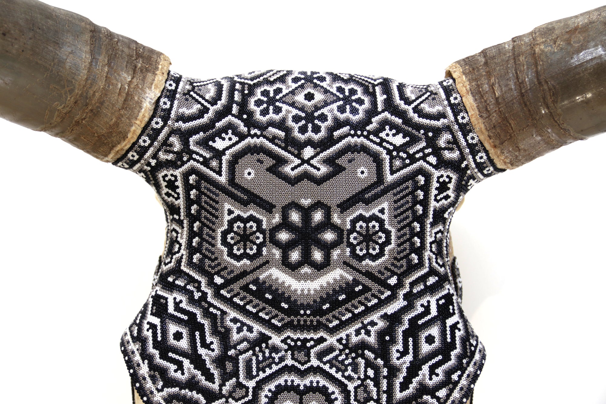 Cráneo de vaca Arte Huichol - Águila bicéfala