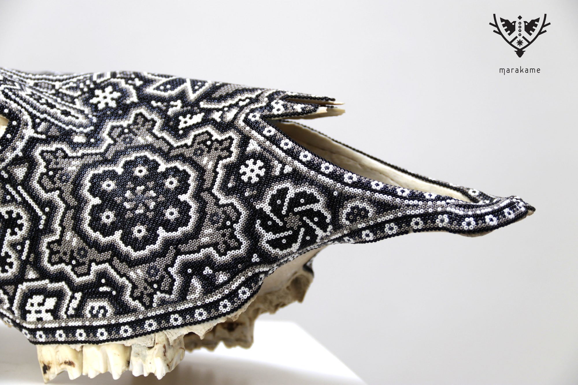 Cráneo de vaca Arte Huichol - Águila bicéfala