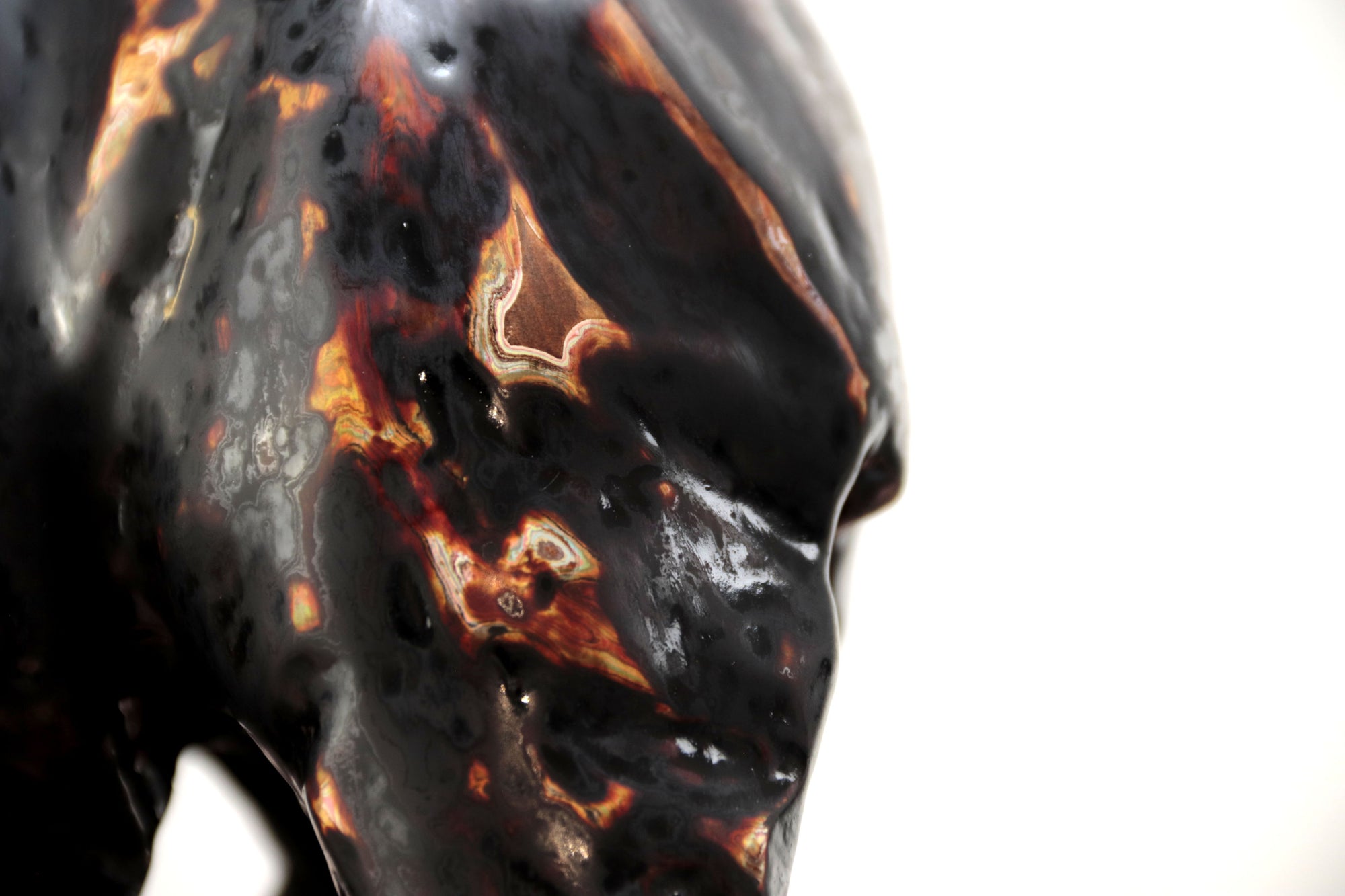 Oso negro con colores interiores III