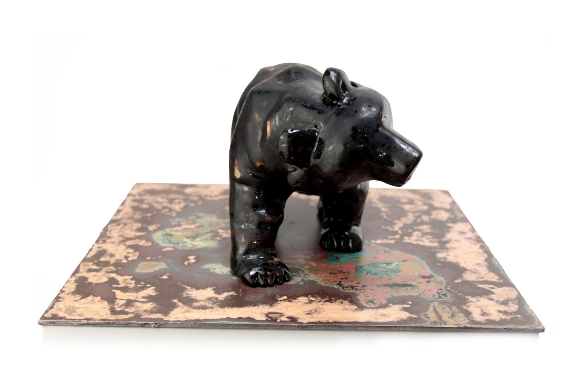 Oso negro con colores interiores III