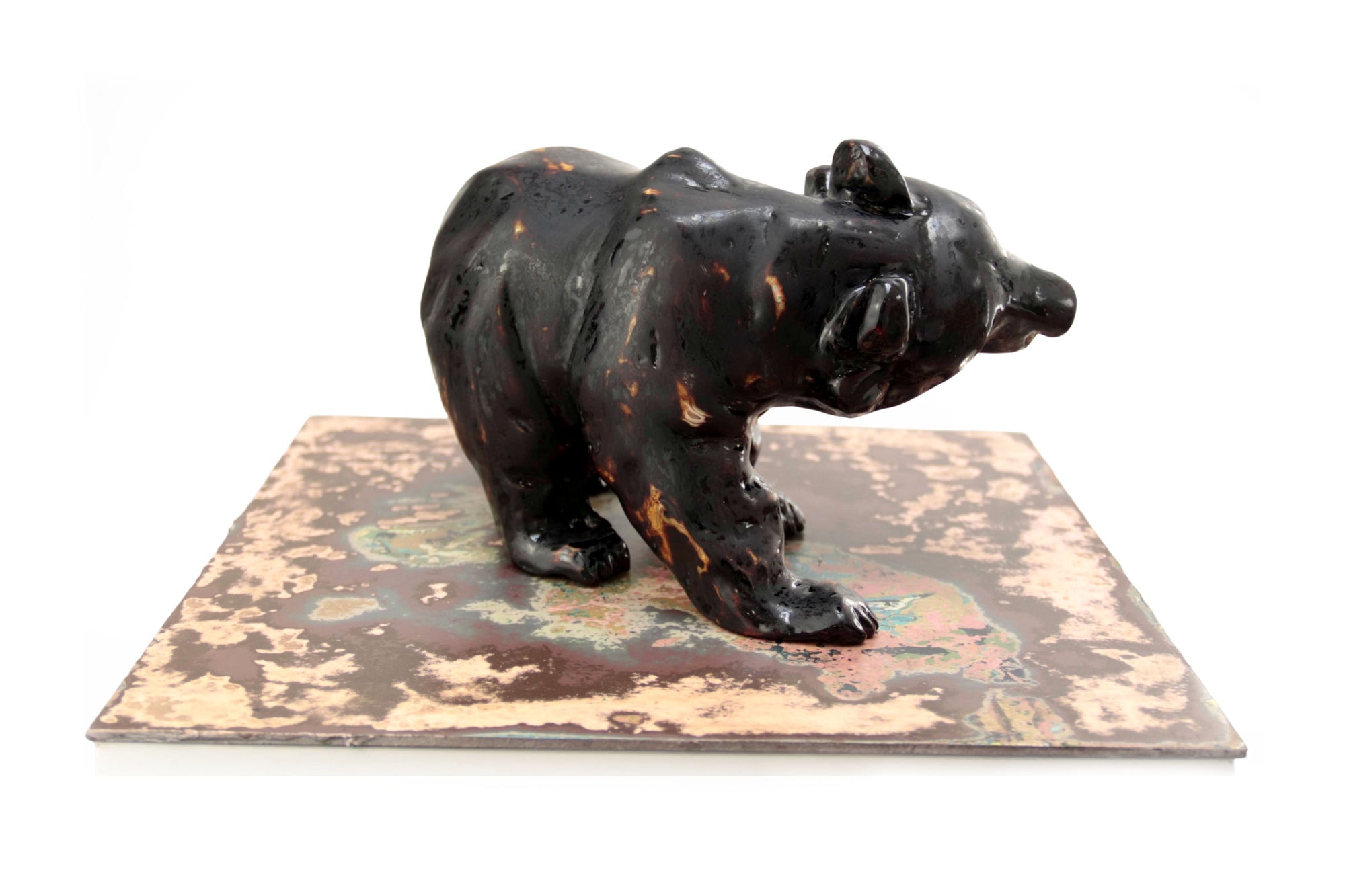 Oso negro con colores interiores III