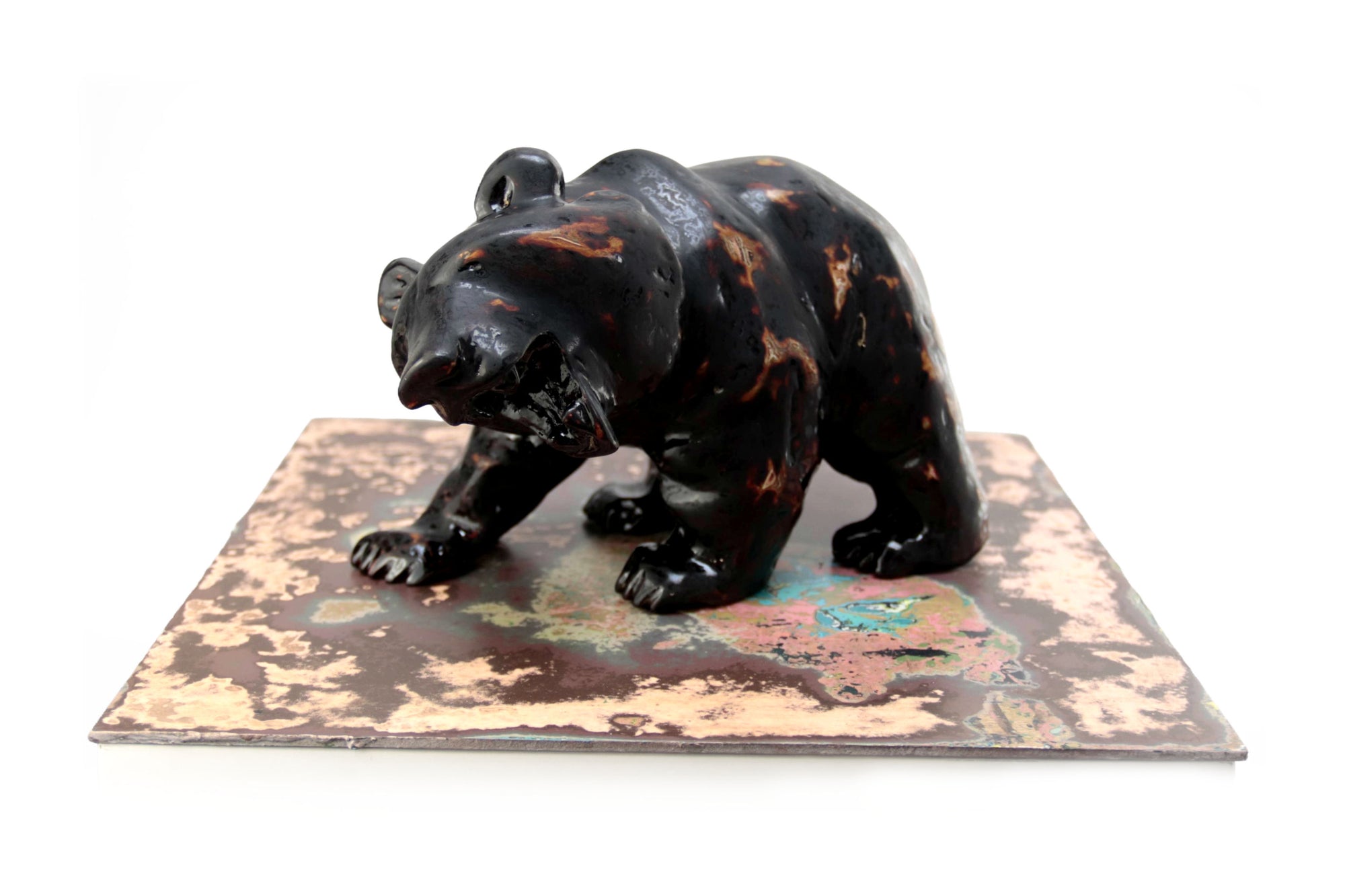 Oso negro con colores interiores III