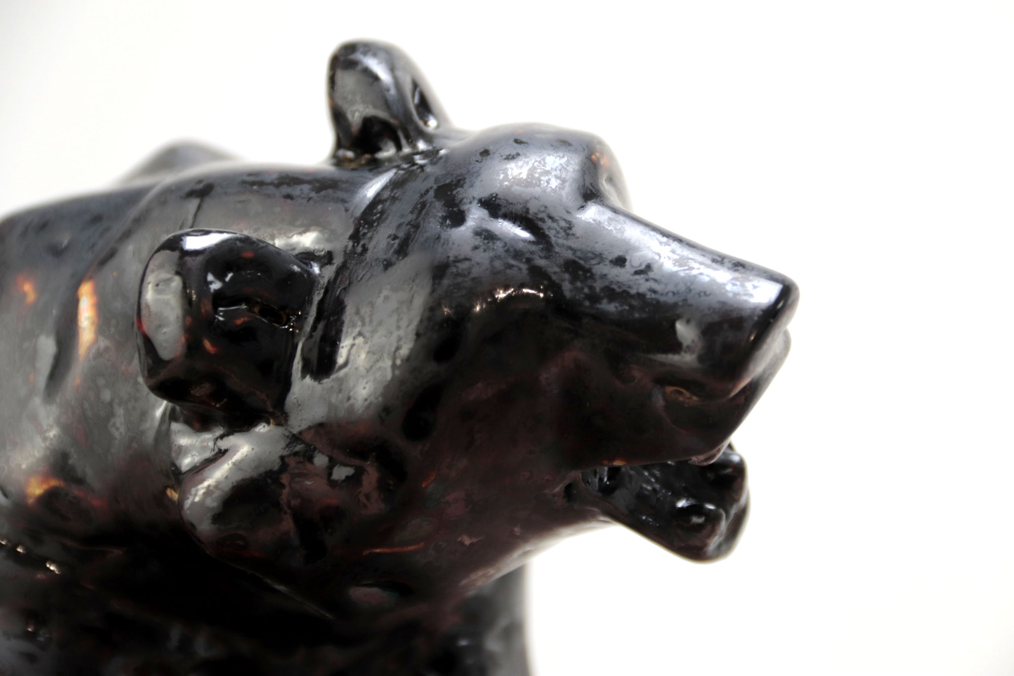 Oso negro con colores interiores III