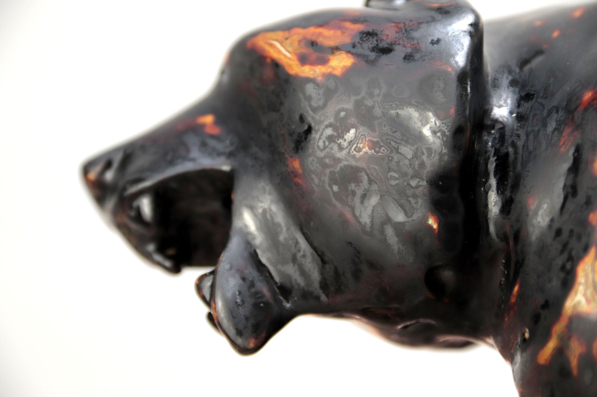 Oso negro con colores interiores III