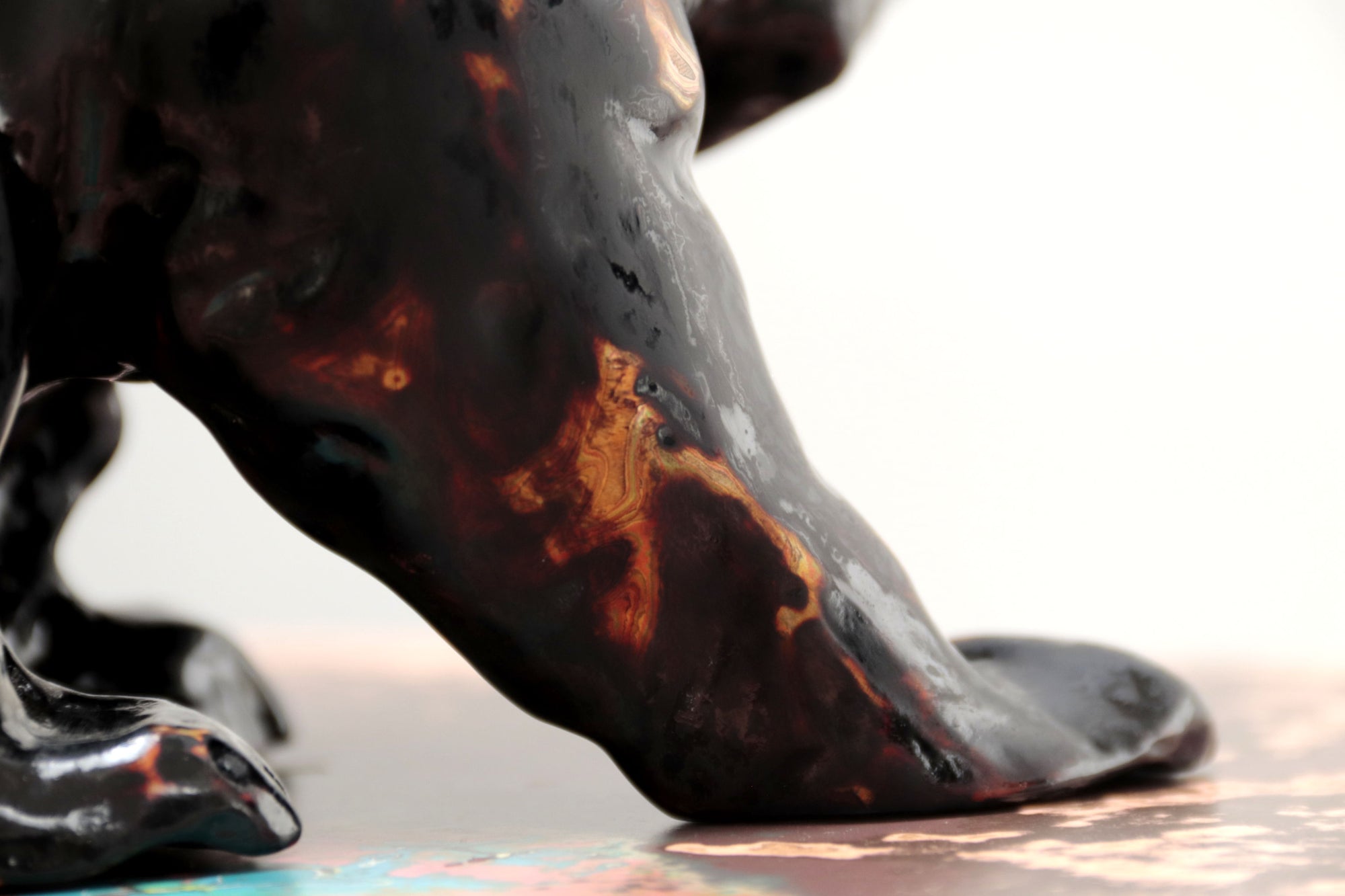 Oso negro con colores interiores III