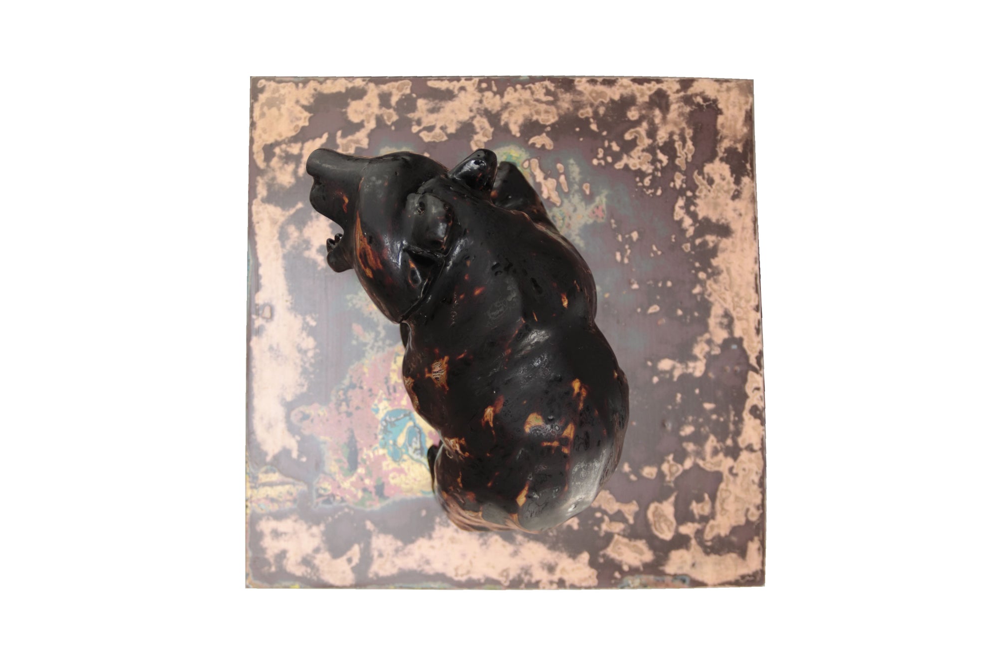 Oso negro con colores interiores III