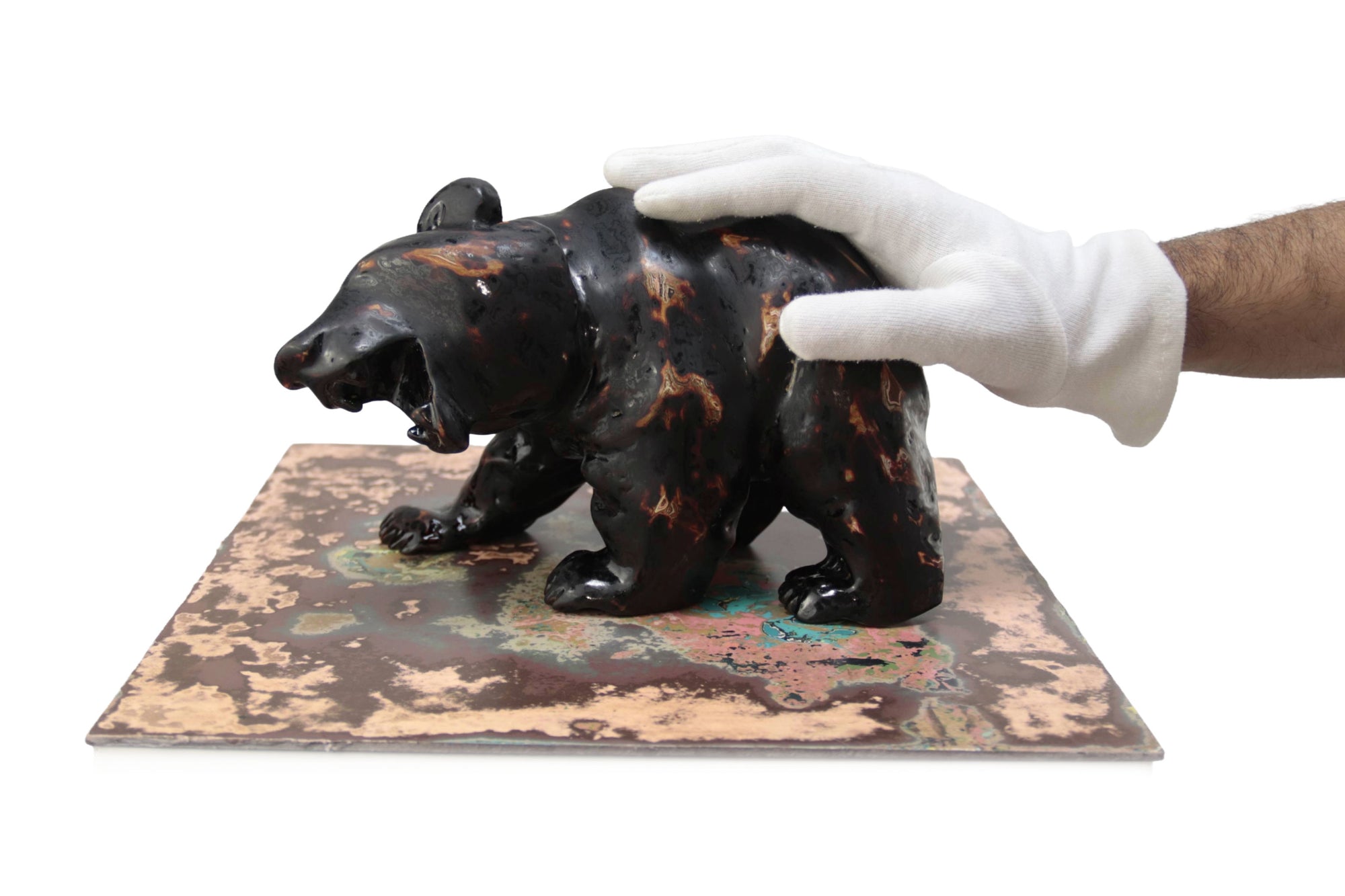 Oso negro con colores interiores III