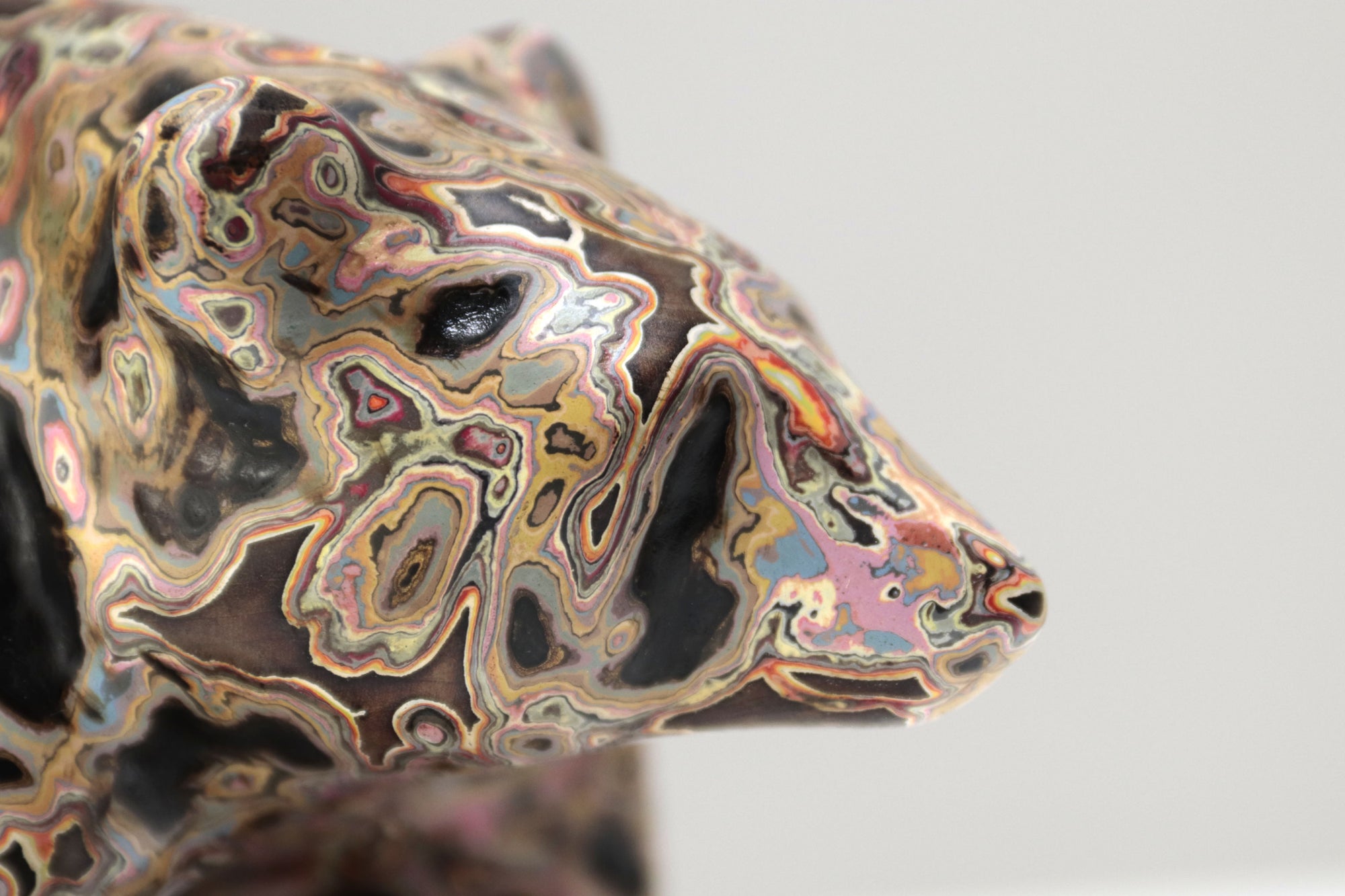 Oso con colores interiores II