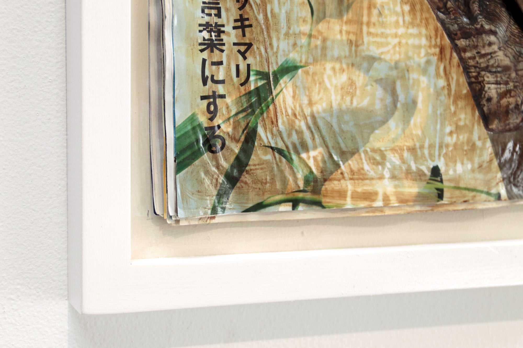 Colores Interiores "Ai Tominaga en Aera"